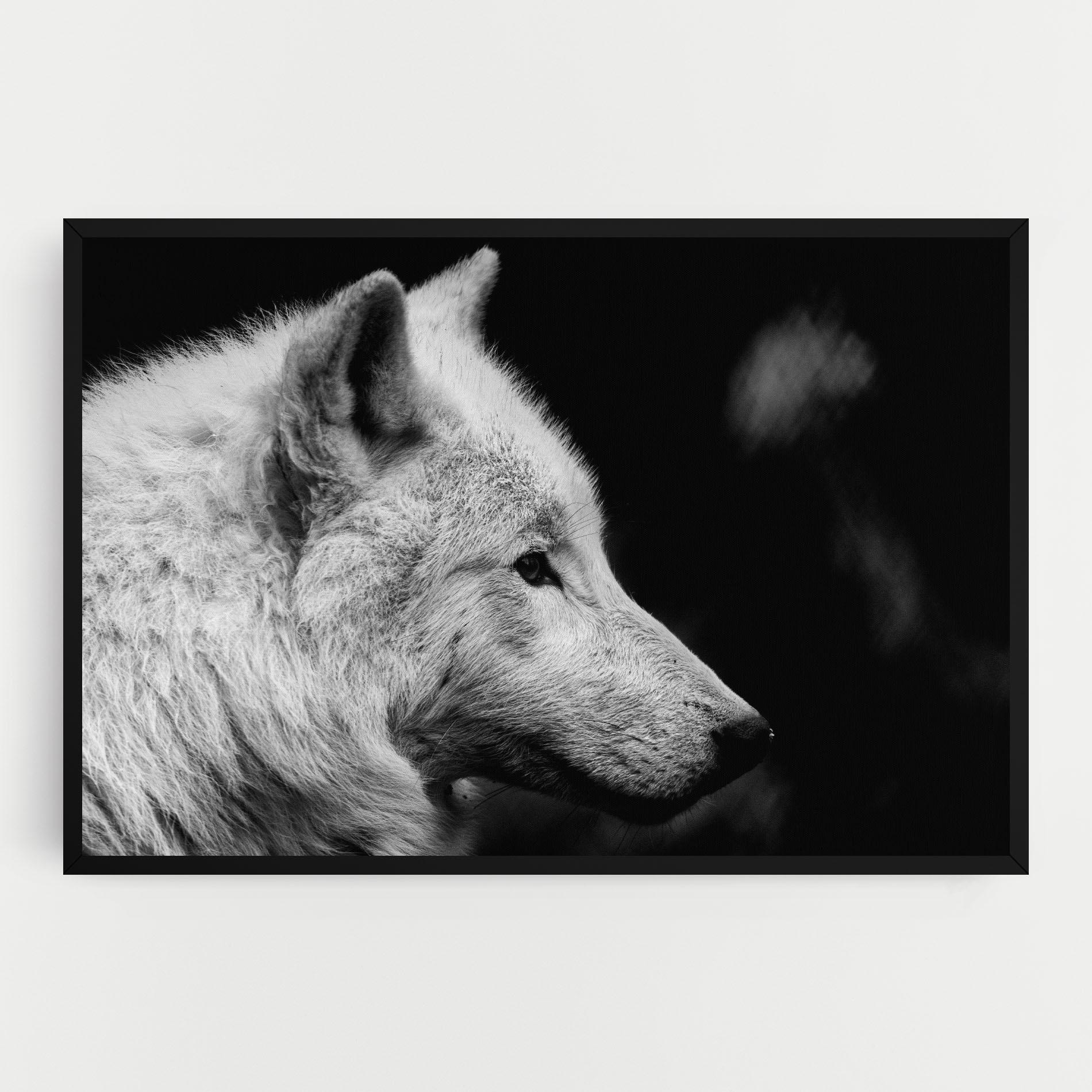 Vászonkép Grey Wolf mockup 0