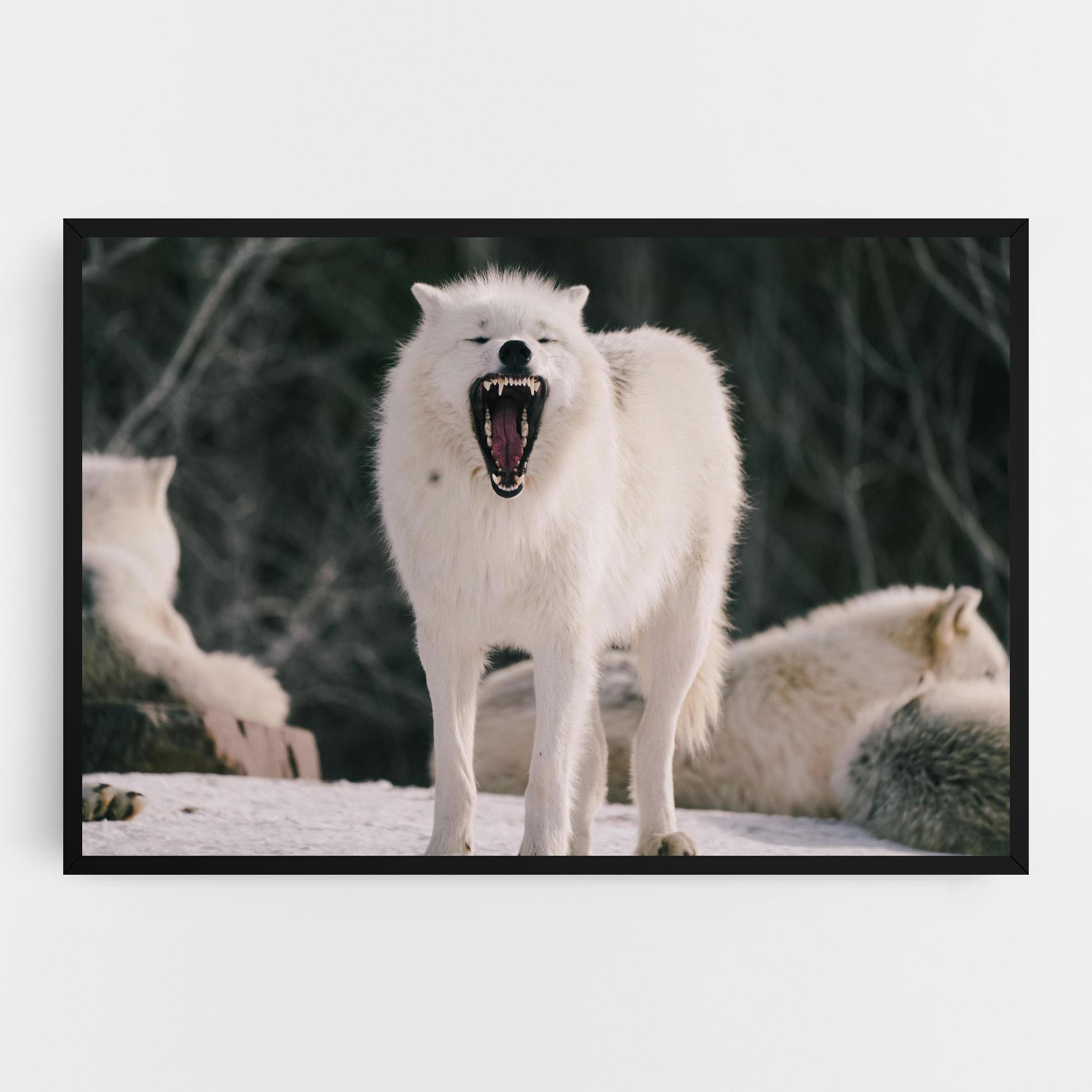 Vászonkép Laughing White Wolf mockup 0