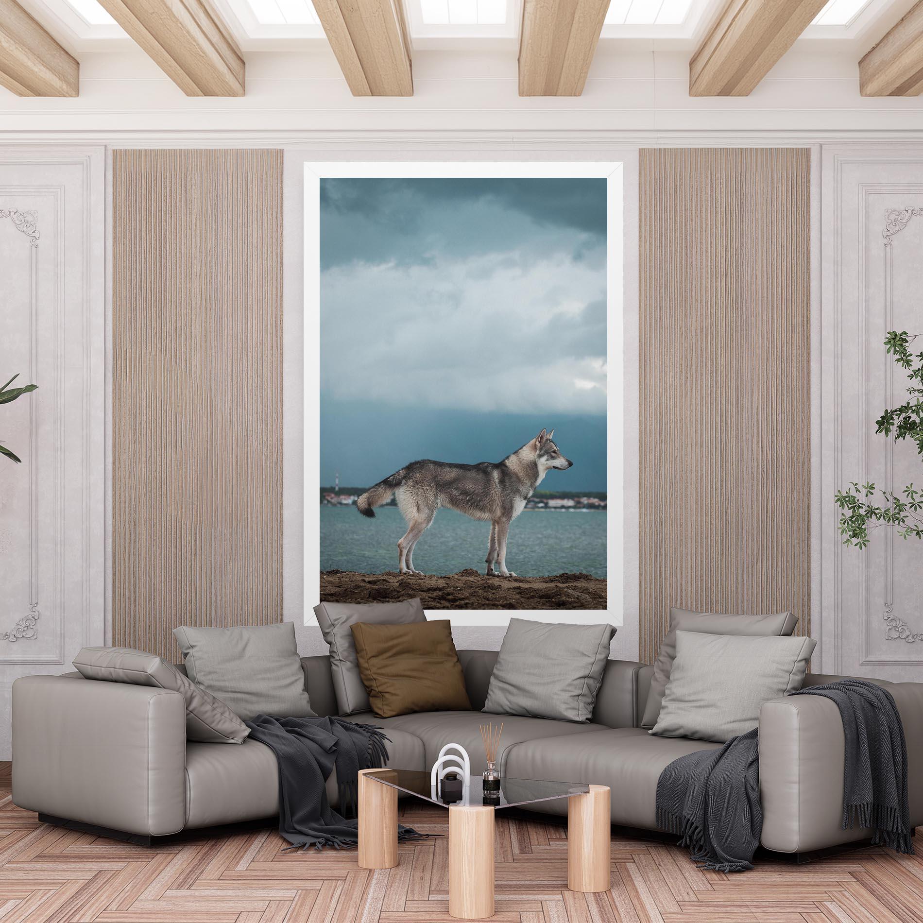 Vászonkép Grey Wolf Looking mockup 6