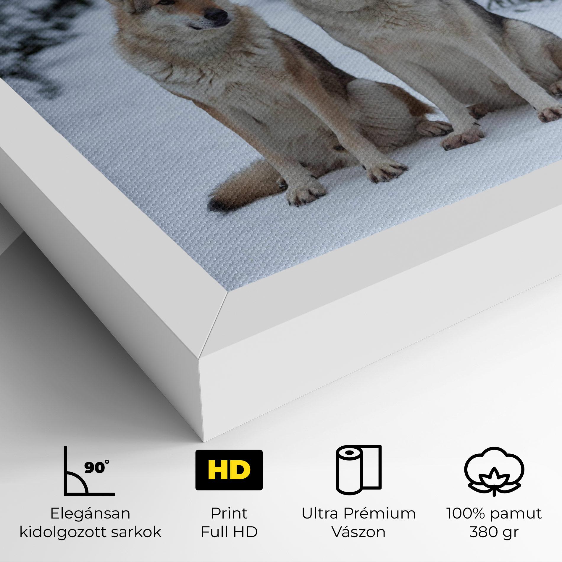 Vászonkép 2 Wolfs Sitting mockup 4