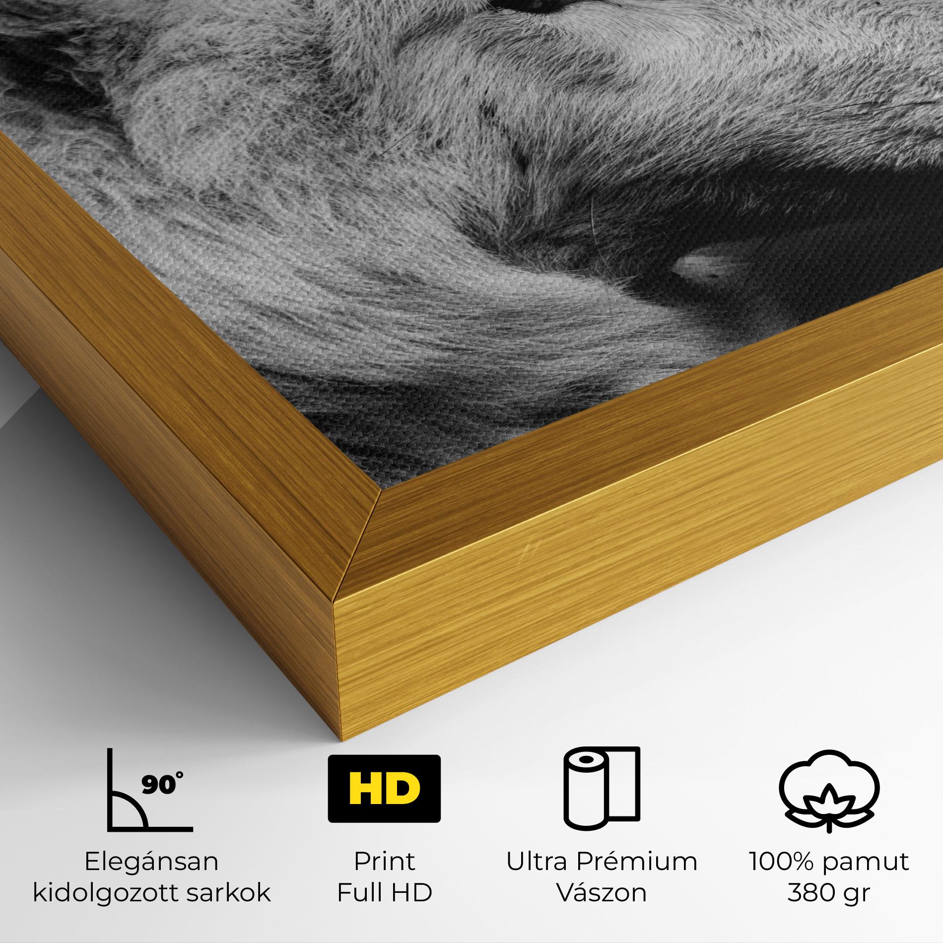 Vászonkép Grey Wolf mockup 4