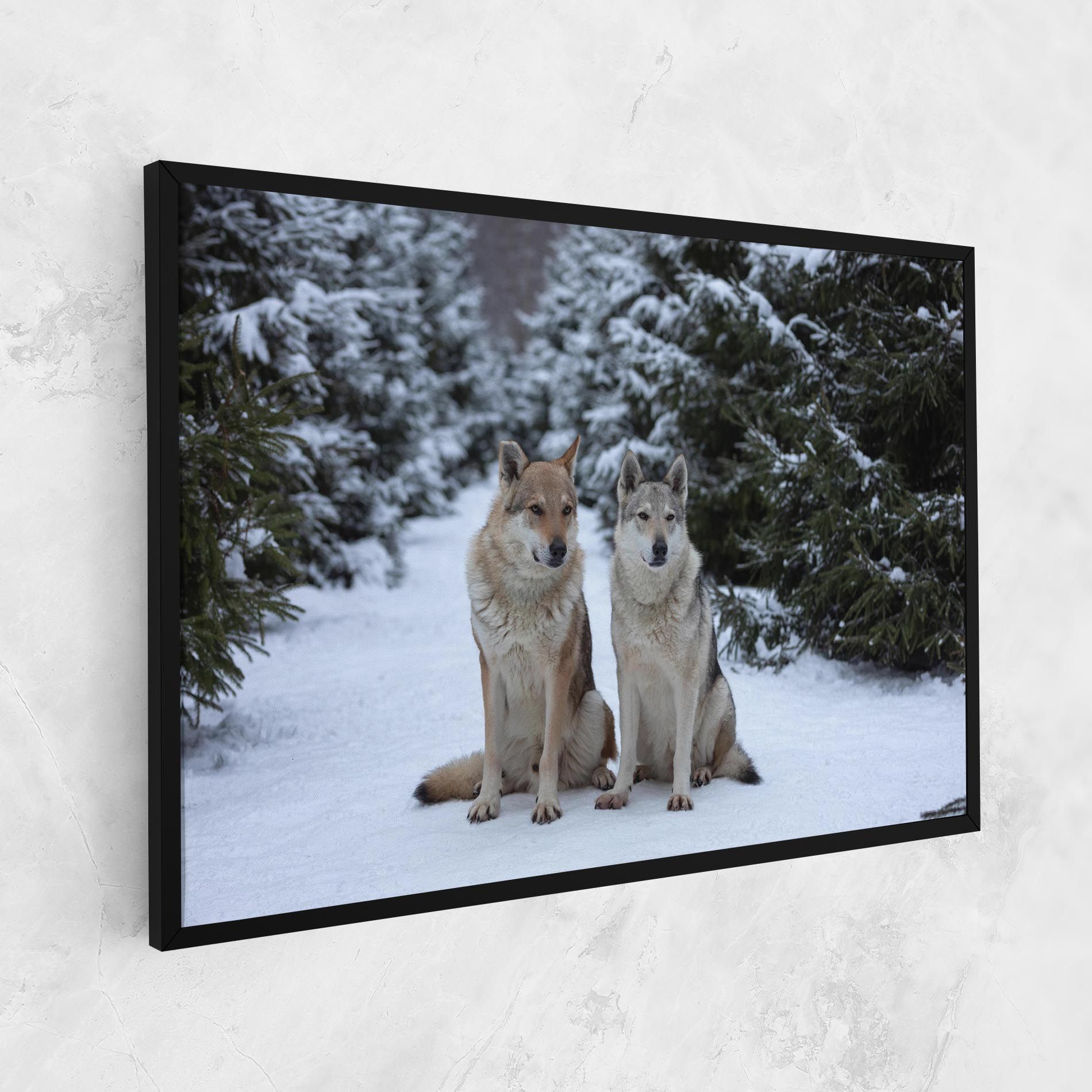 2 Wolfs Sitting mockup 1