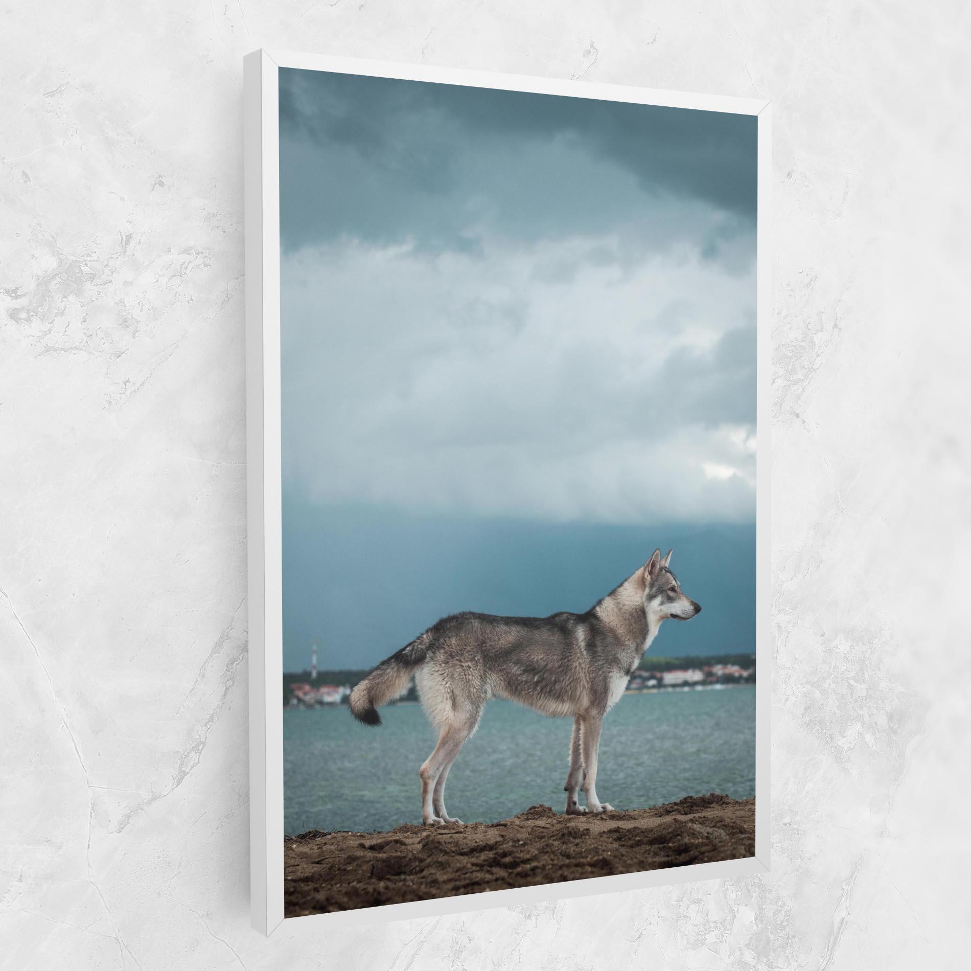 Vászonkép Grey Wolf Looking mockup 1