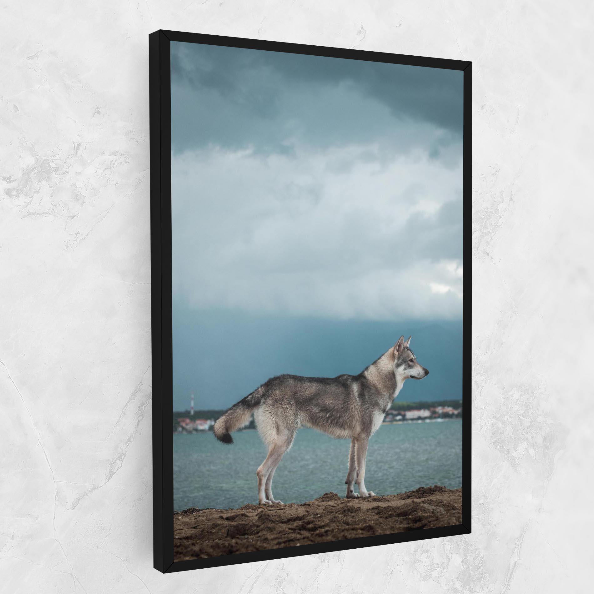 Vászonkép Grey Wolf Looking mockup 1