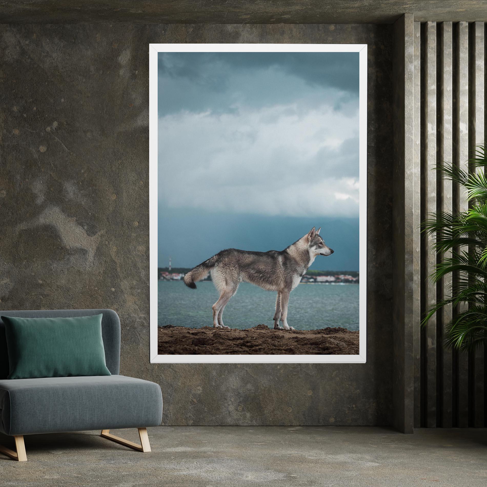 Vászonkép Grey Wolf Looking mockup 7