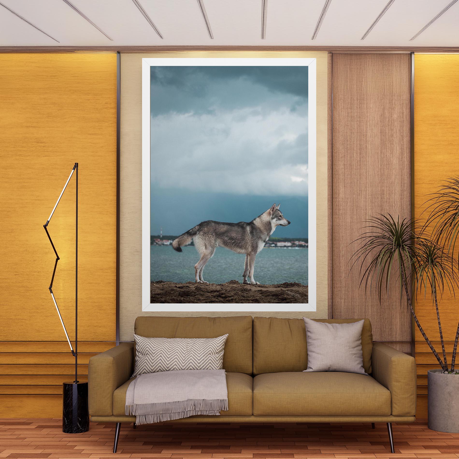 Vászonkép Grey Wolf Looking mockup 9