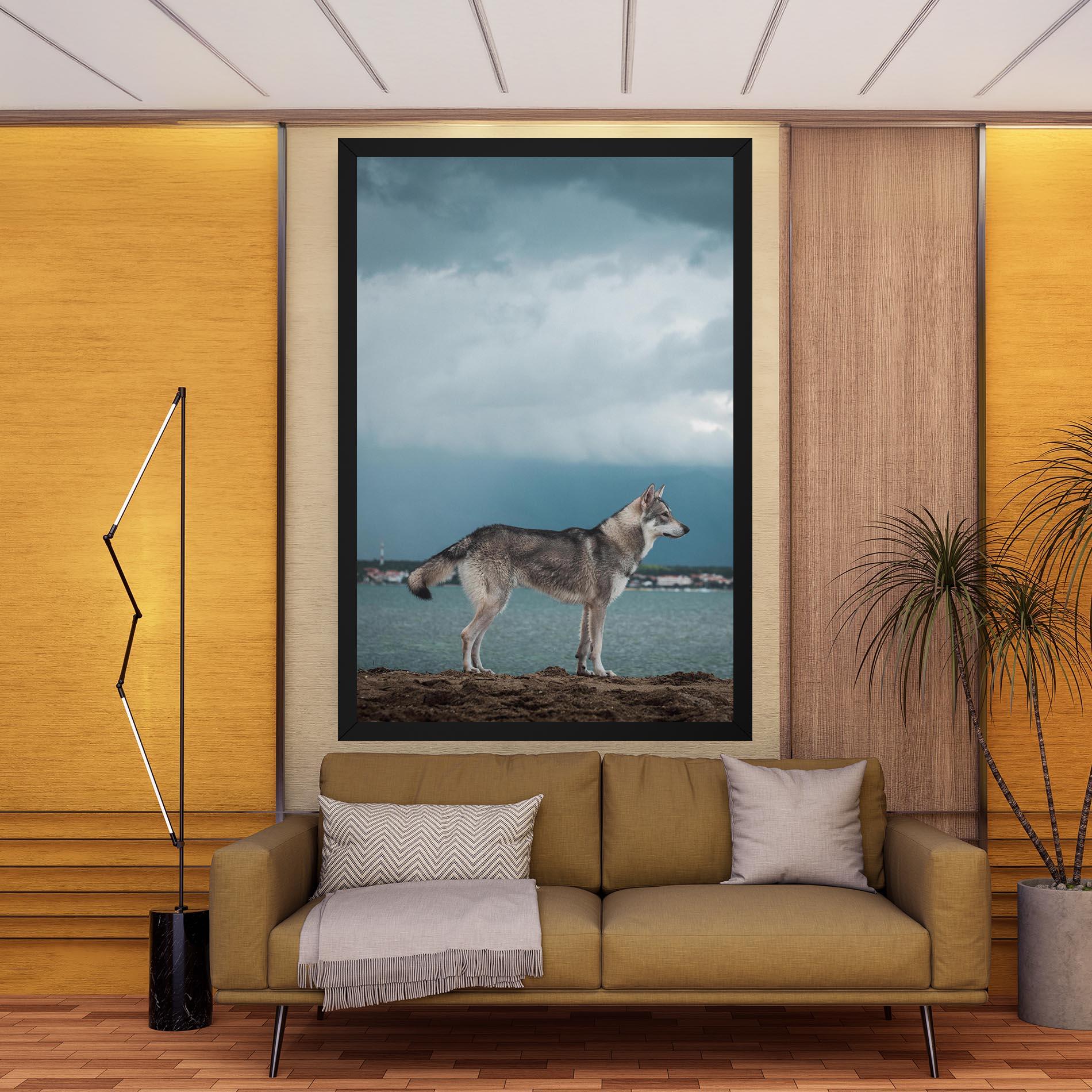 Vászonkép Grey Wolf Looking mockup 9