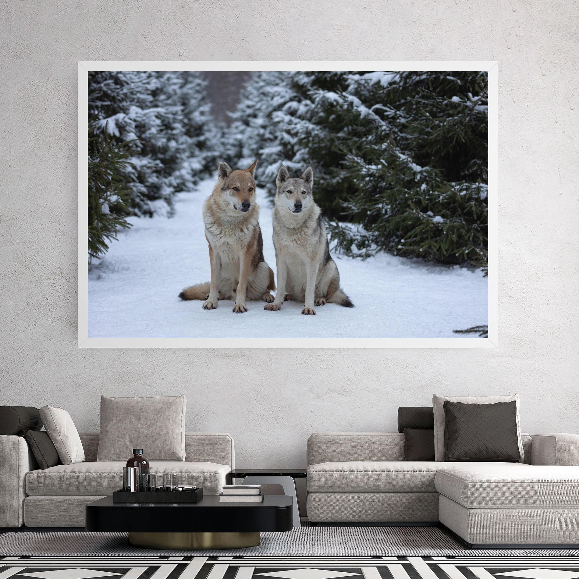 Vászonkép 2 Wolfs Sitting mockup 2