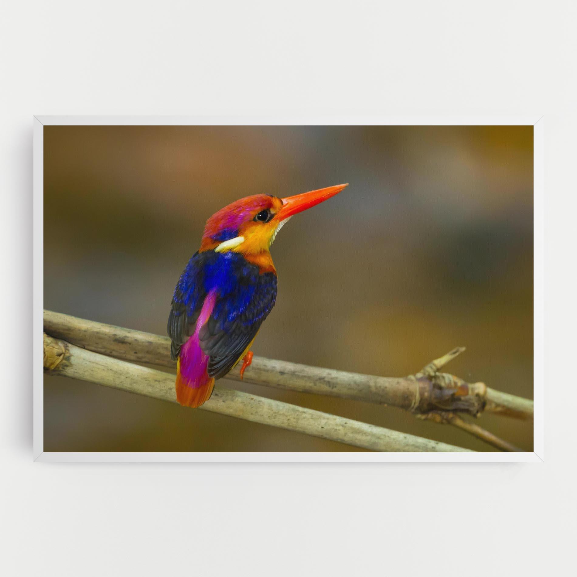 Vászonkép Colorful Bird mockup 0