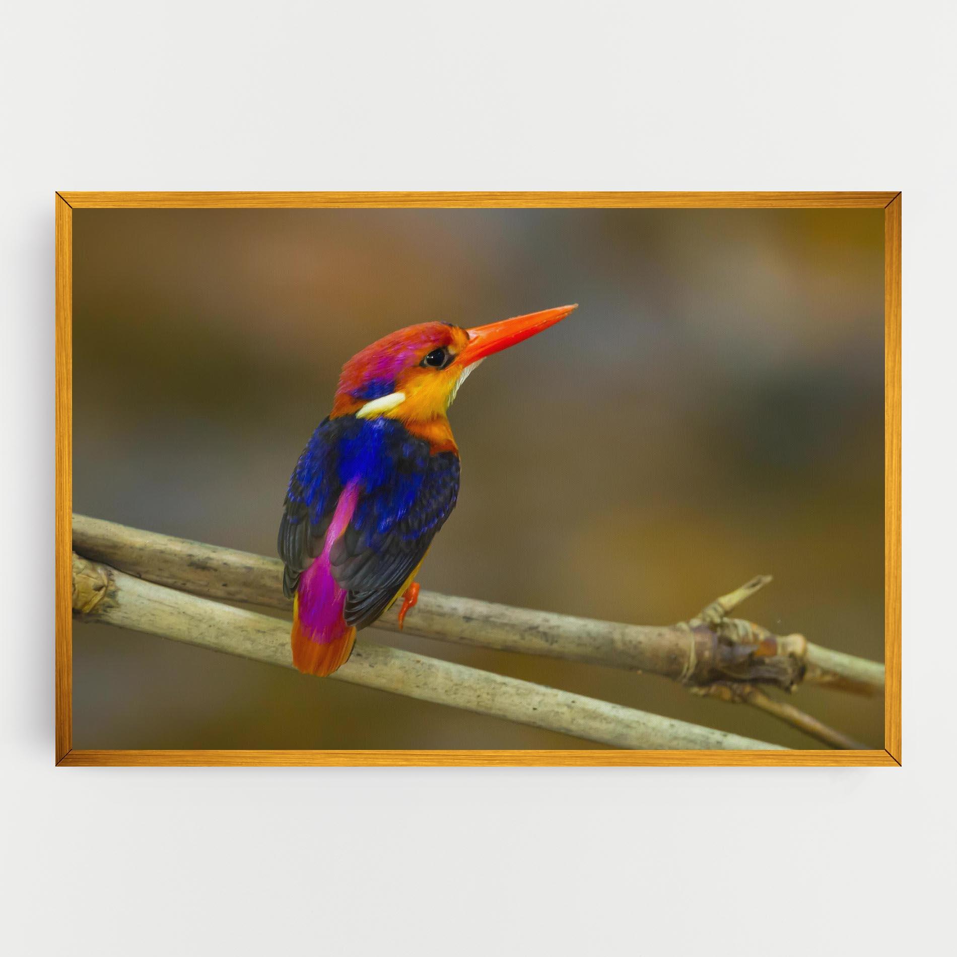 Vászonkép Colorful Bird mockup 0