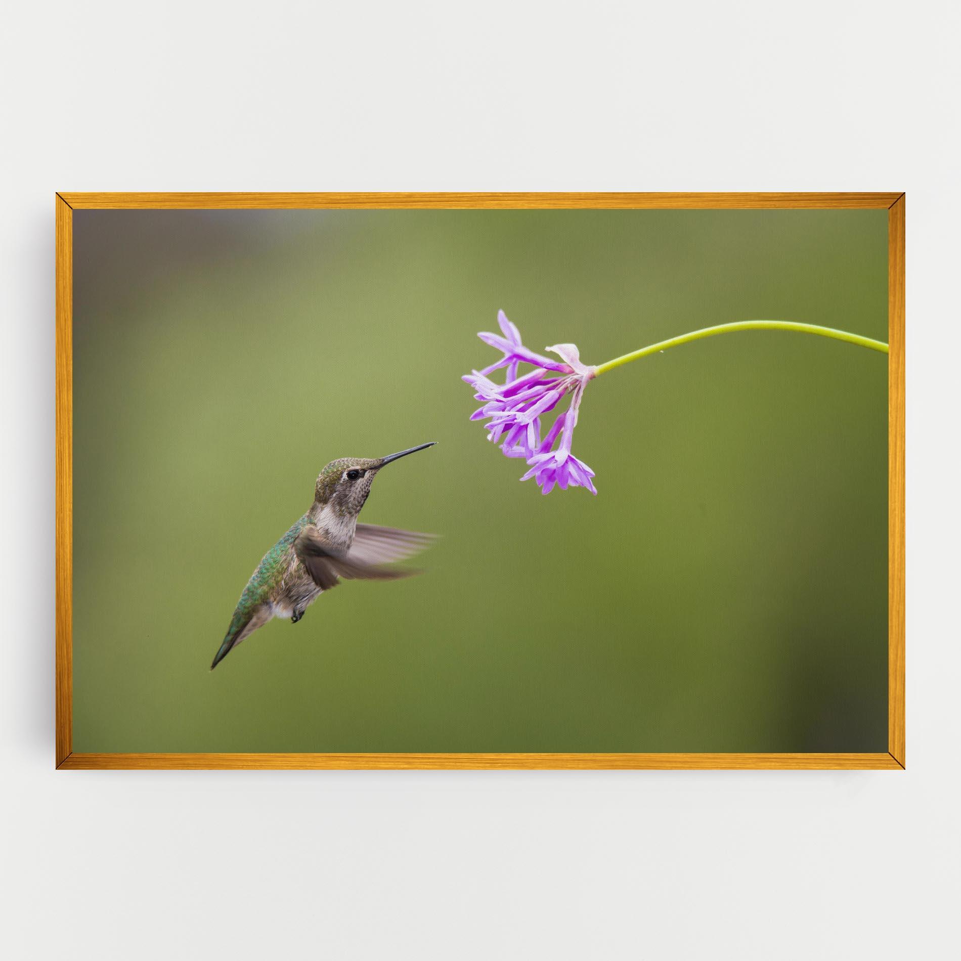 Vászonkép Cute Hummingbird mockup 0