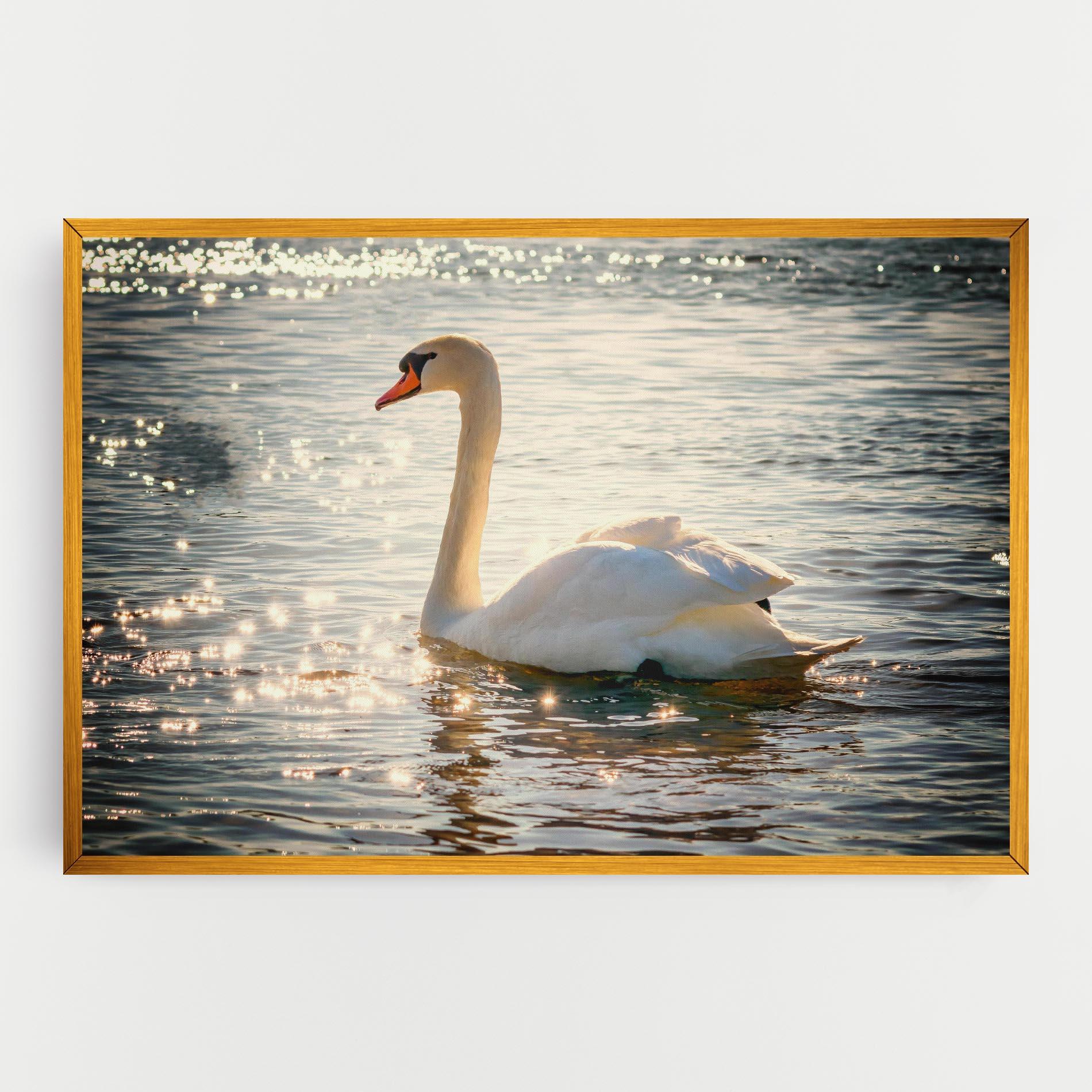 Vászonkép Swan On Lake mockup 0