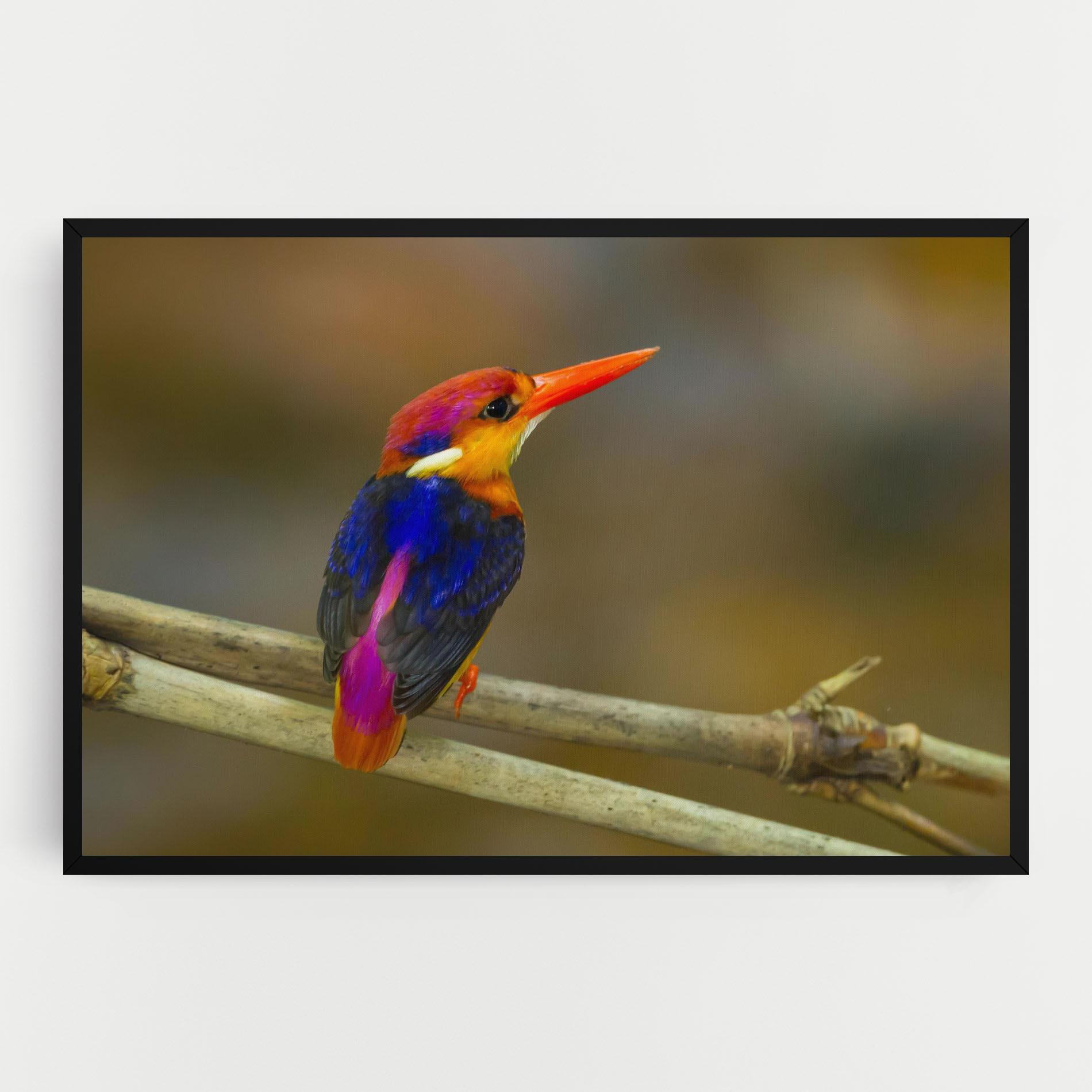 Vászonkép Colorful Bird mockup 0