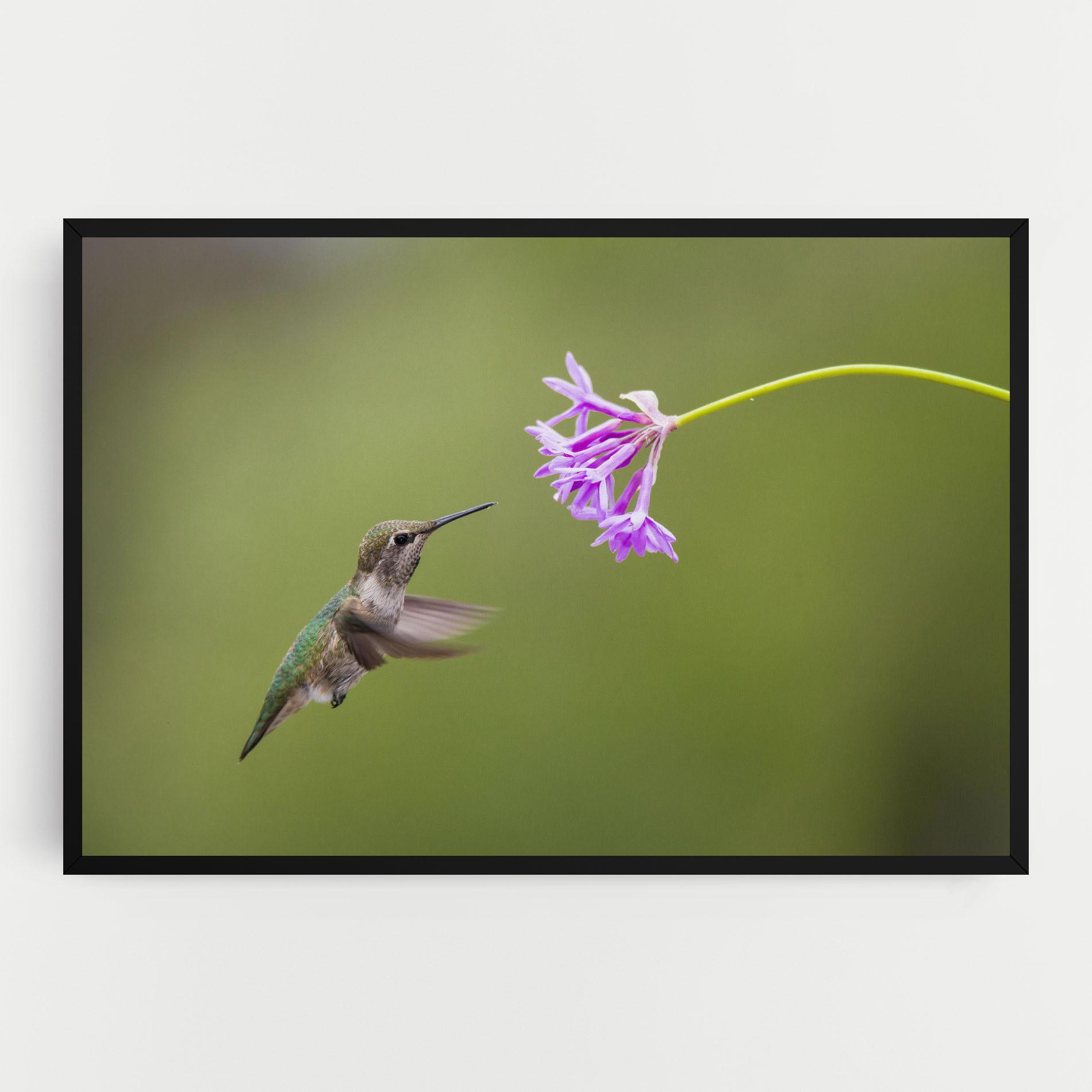 Vászonkép Cute Hummingbird mockup 0