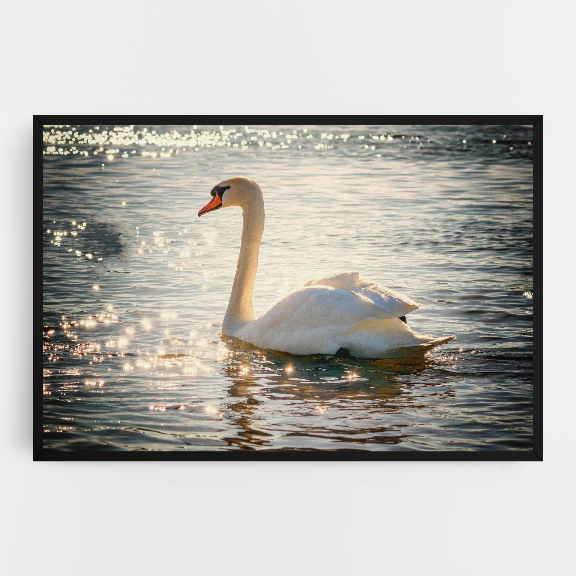Vászonkép Swan On Lake mockup 0