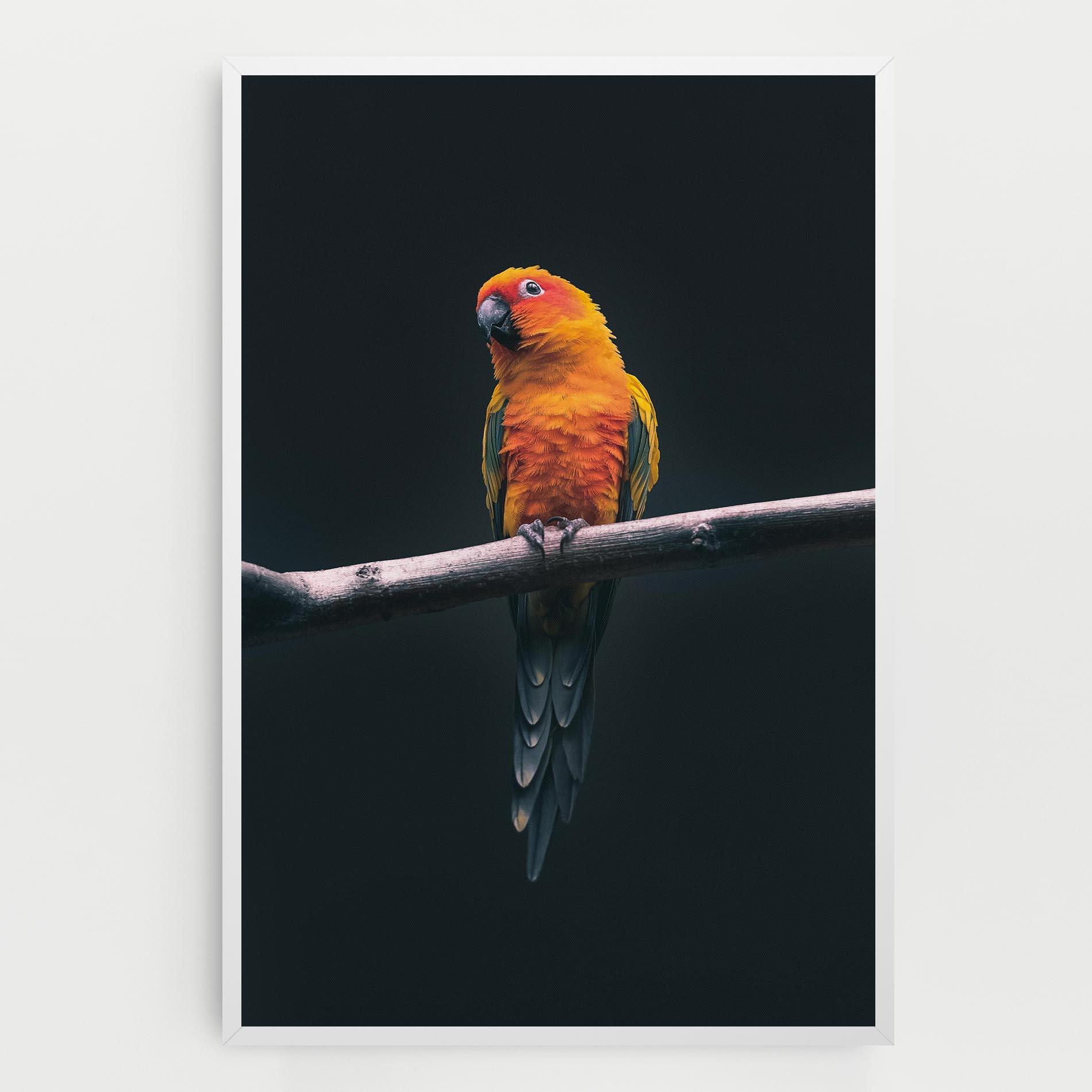 Vászonkép Fire Parrot mockup 0
