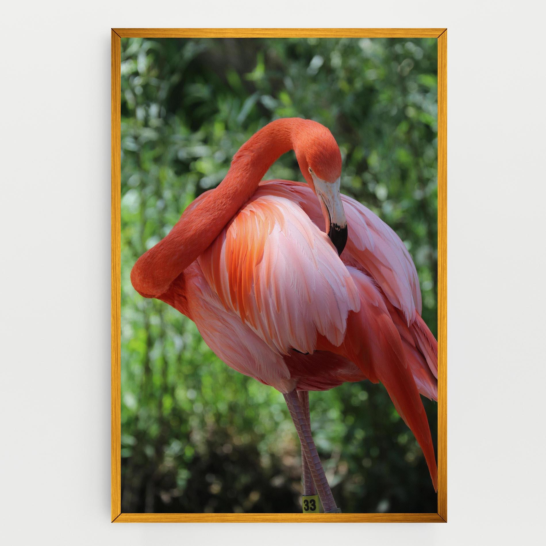 Vászonkép Red Flamingo mockup 0
