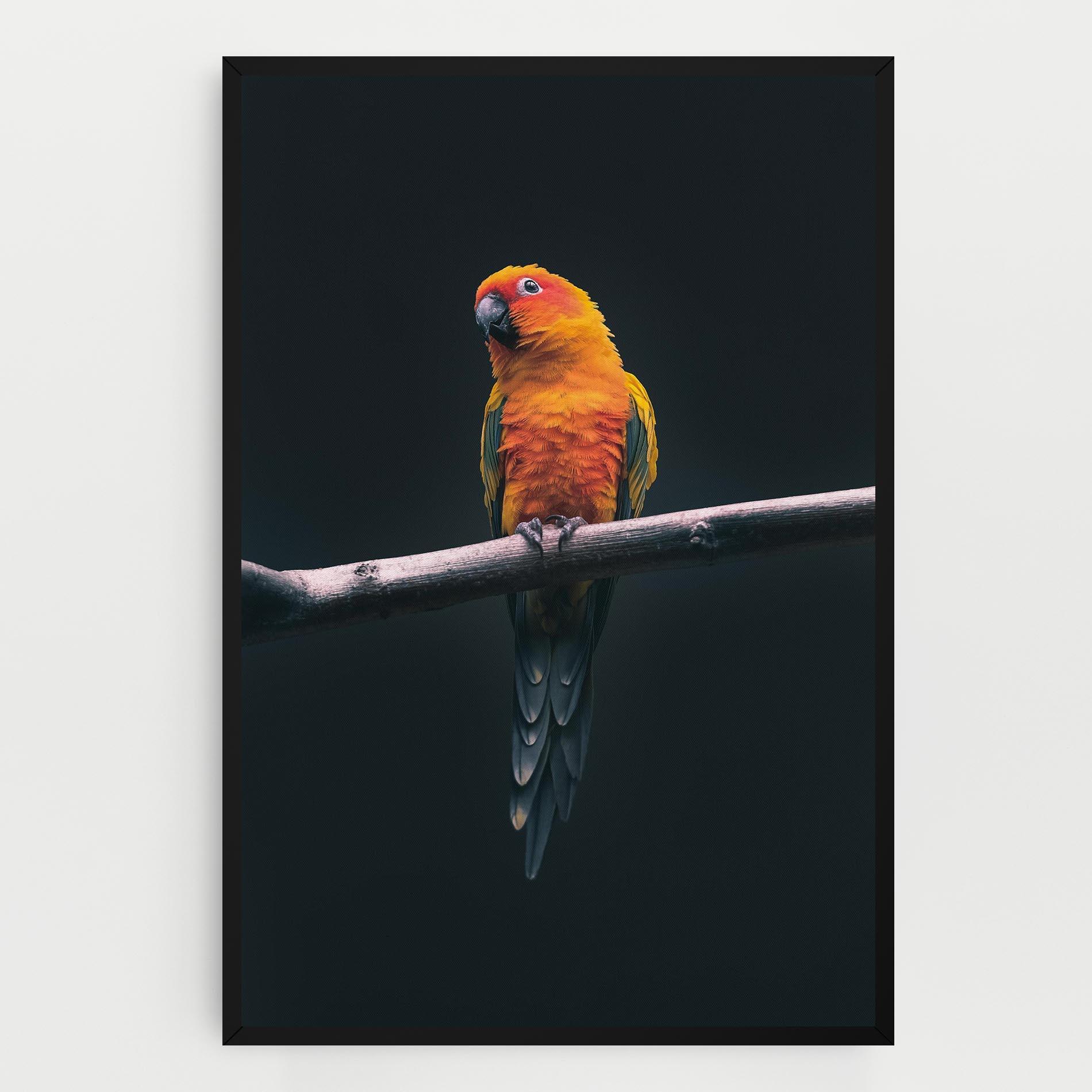 Vászonkép Fire Parrot mockup 0