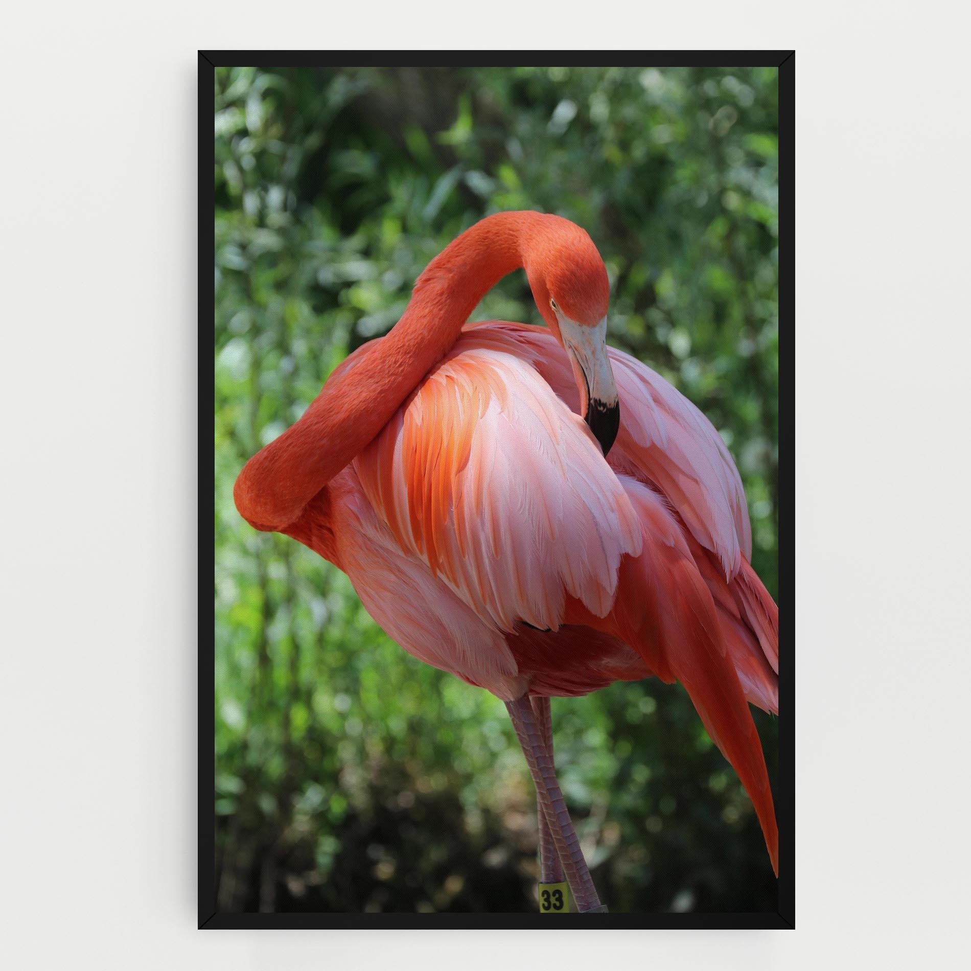 Vászonkép Red Flamingo mockup 0
