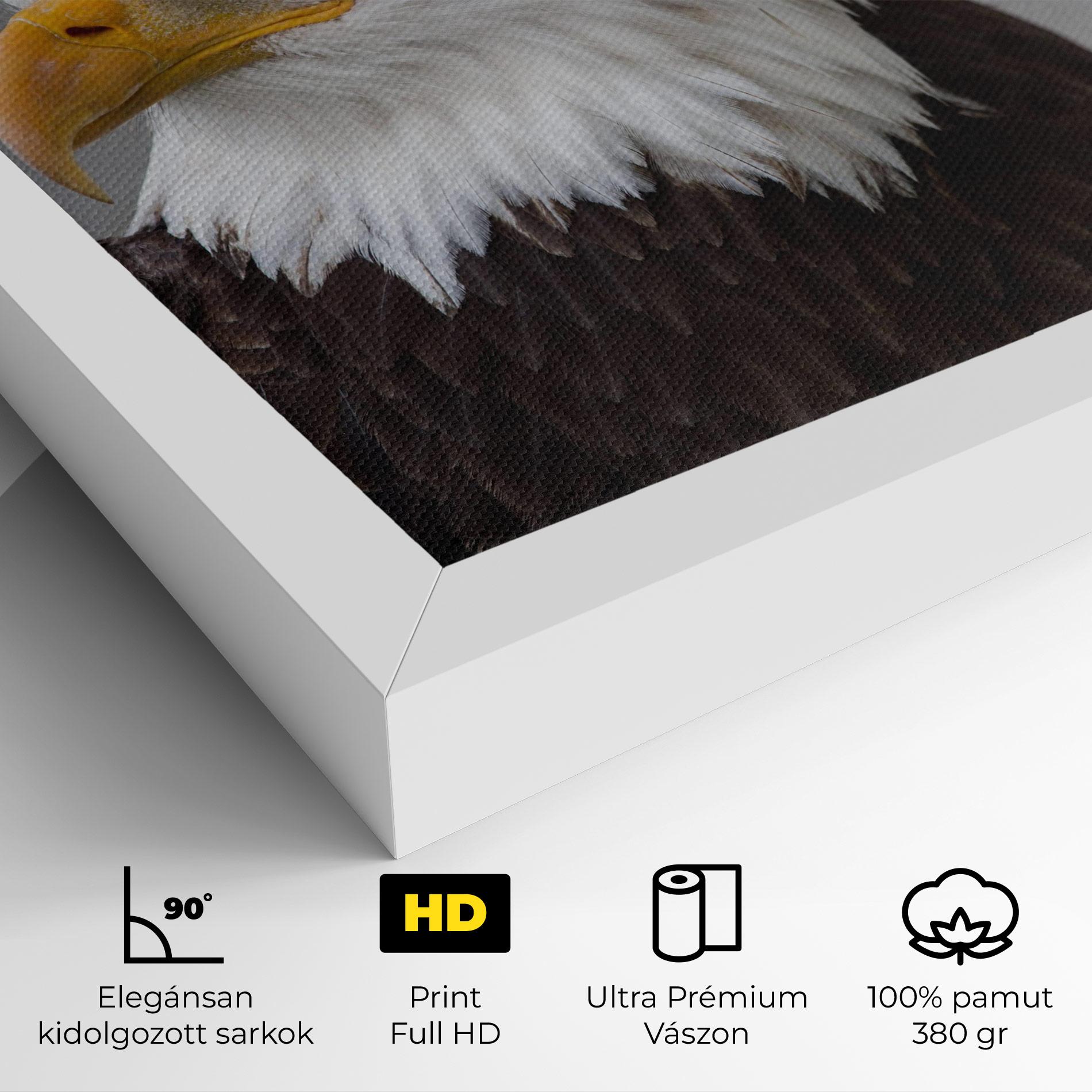 Vászonkép Beautiful Eagle mockup 4