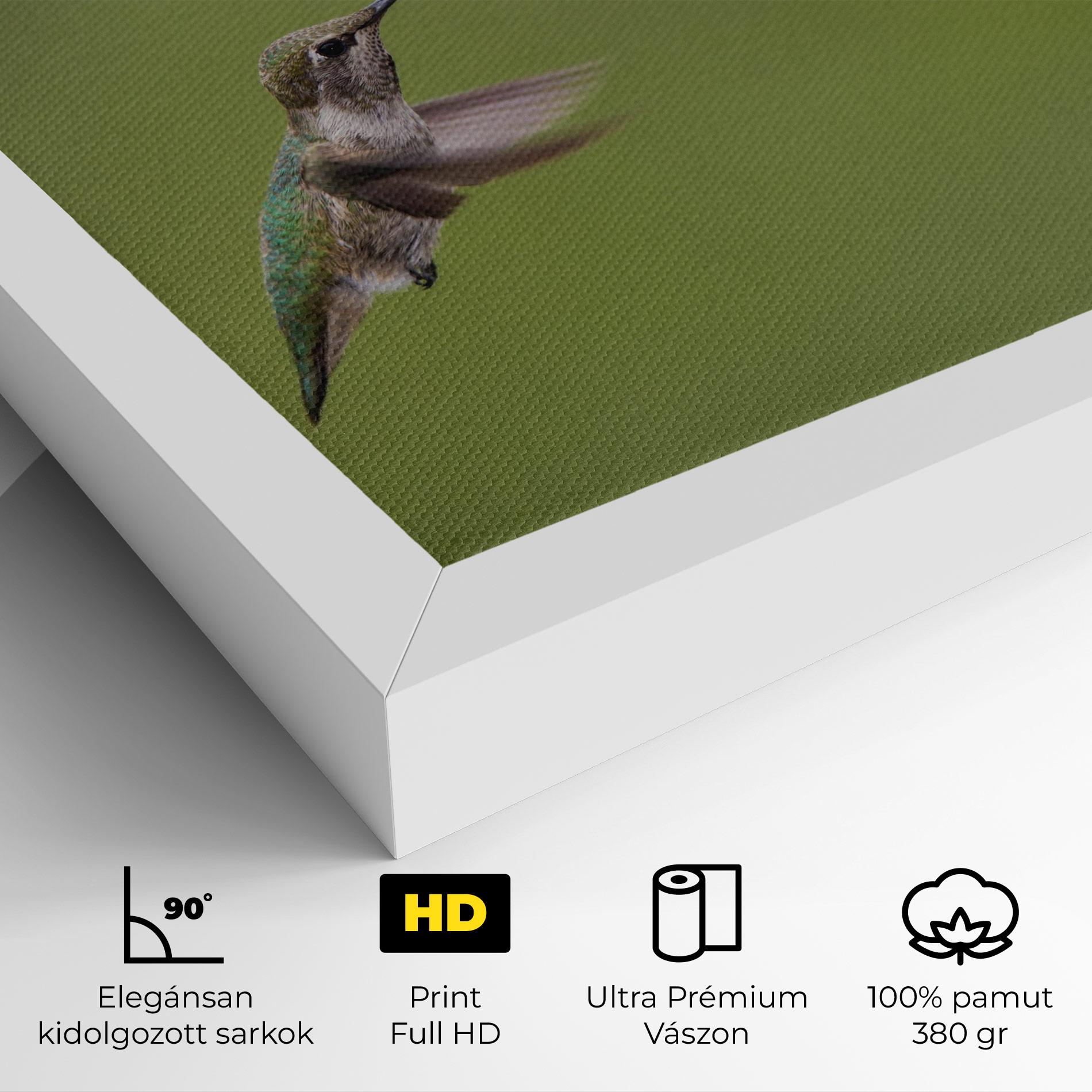 Vászonkép Cute Hummingbird mockup 4