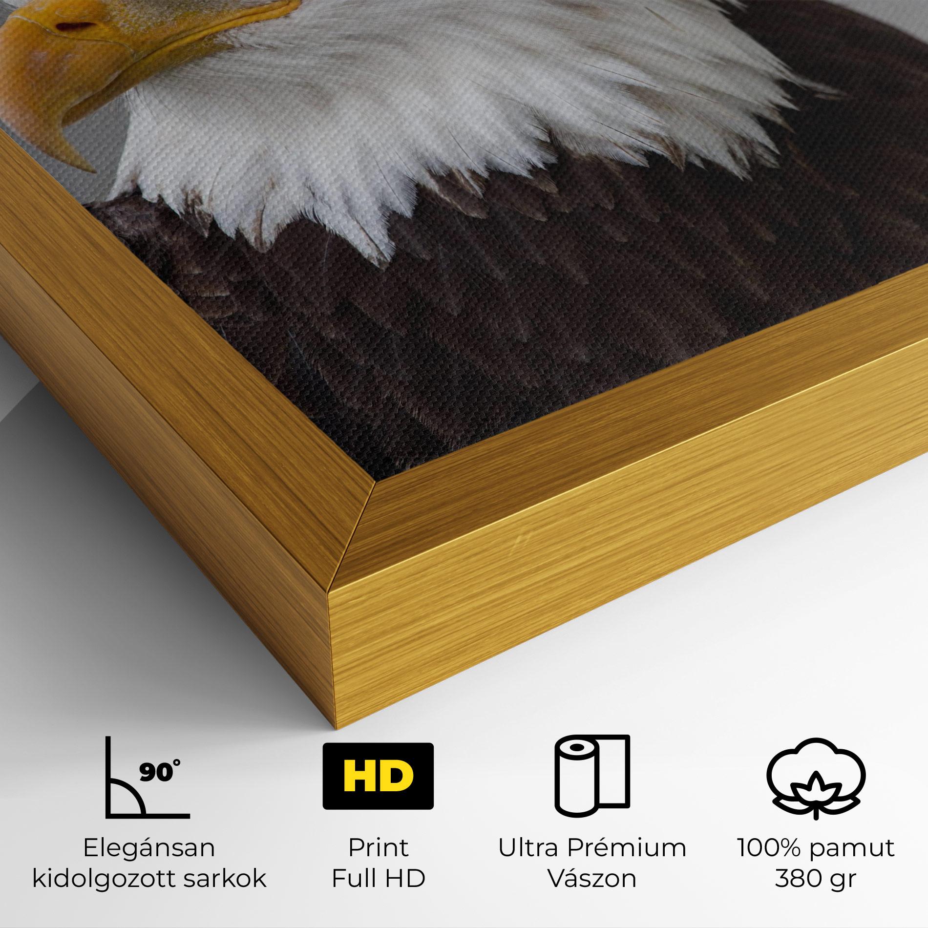 Vászonkép Beautiful Eagle mockup 4