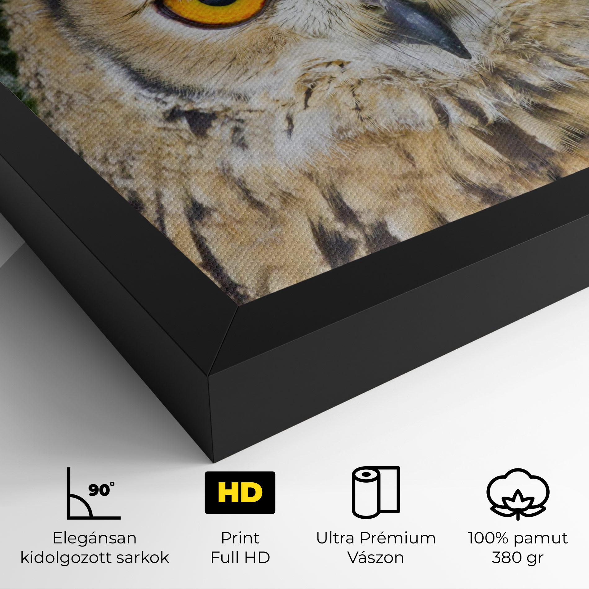 Vászonkép Angry Owl mockup 4