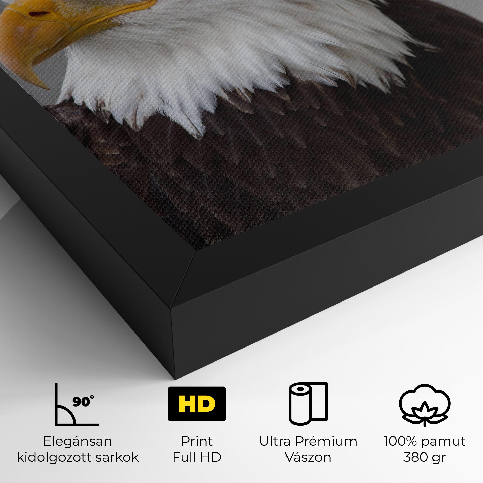 Vászonkép Beautiful Eagle mockup 4