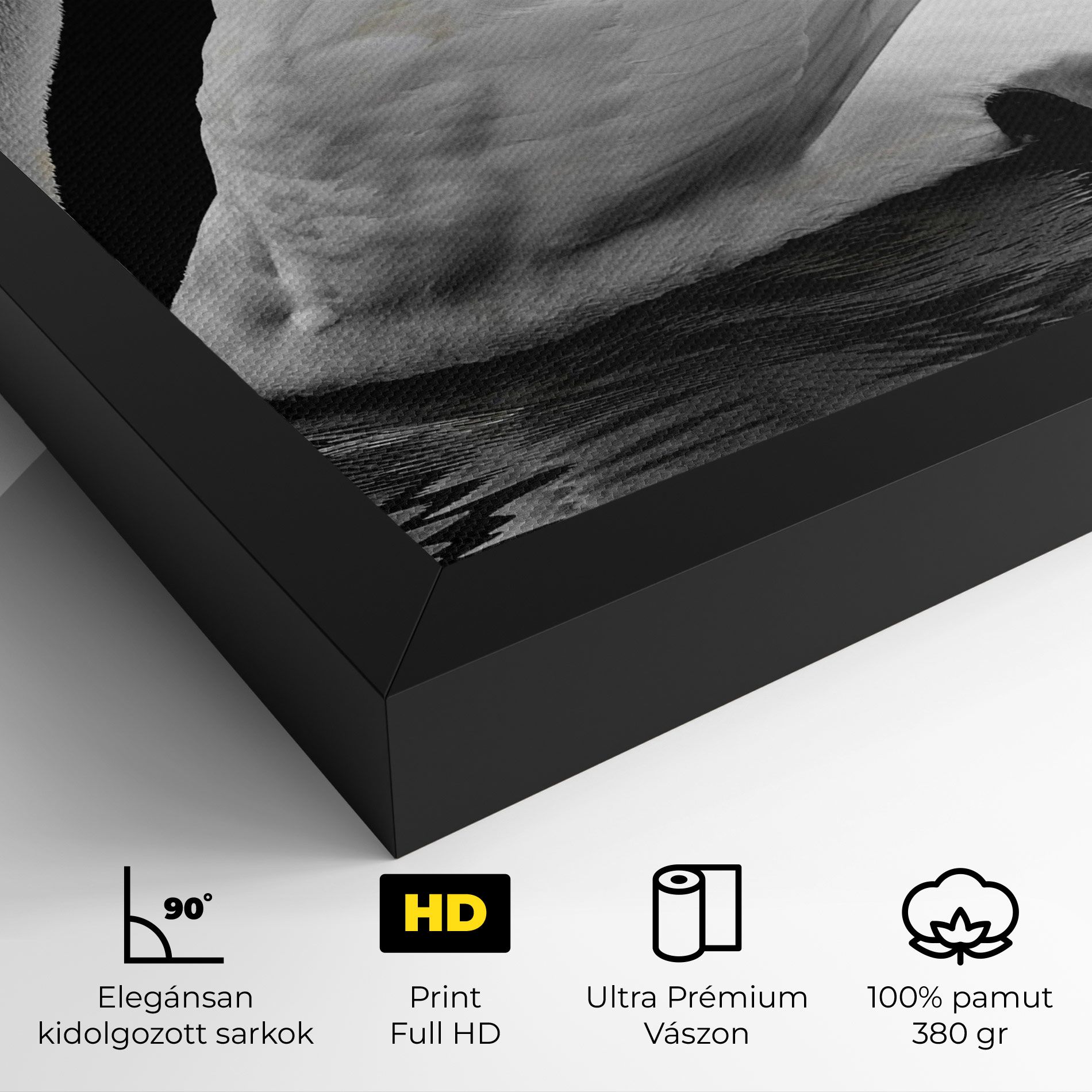 Black And White Swan mockup 4