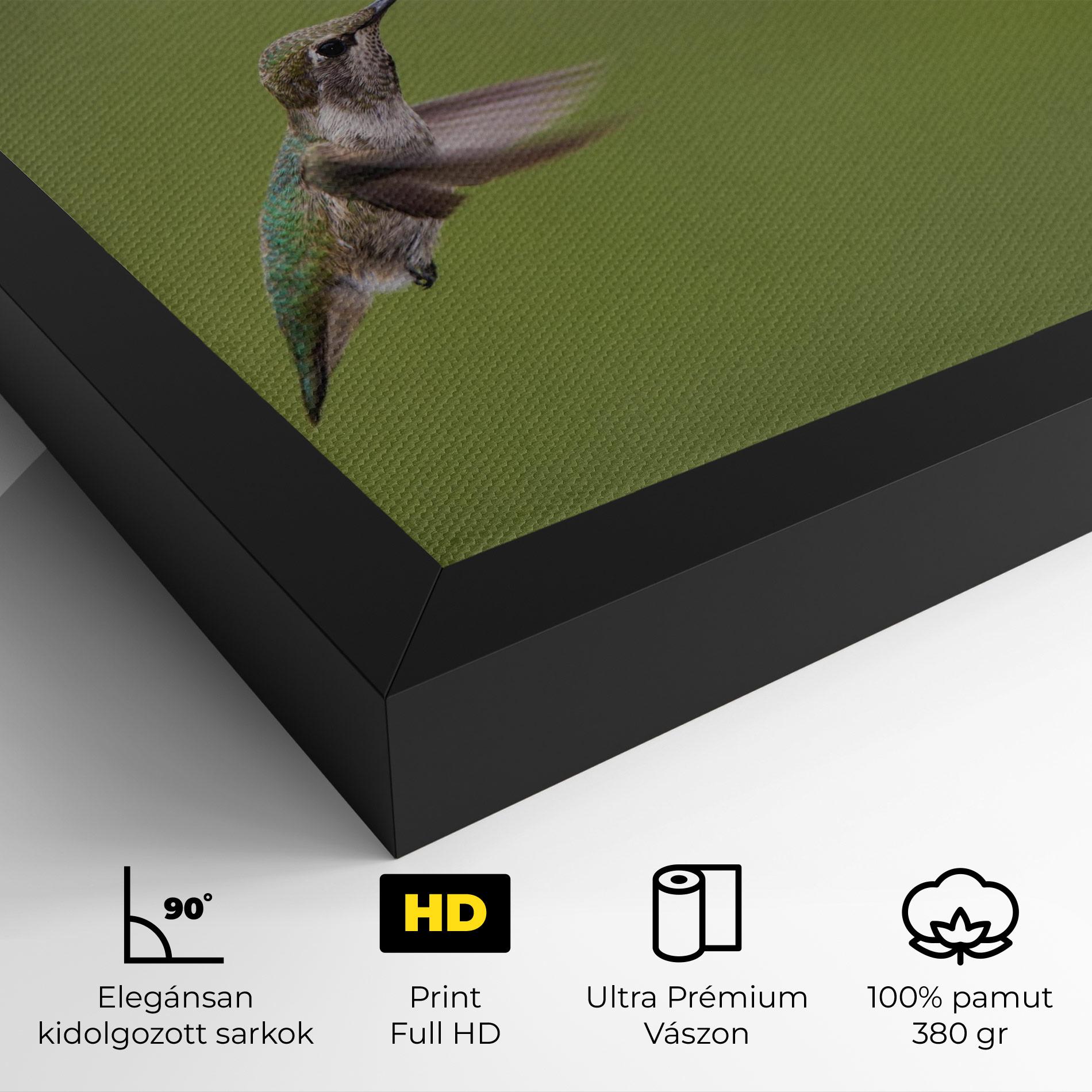 Vászonkép Cute Hummingbird mockup 4