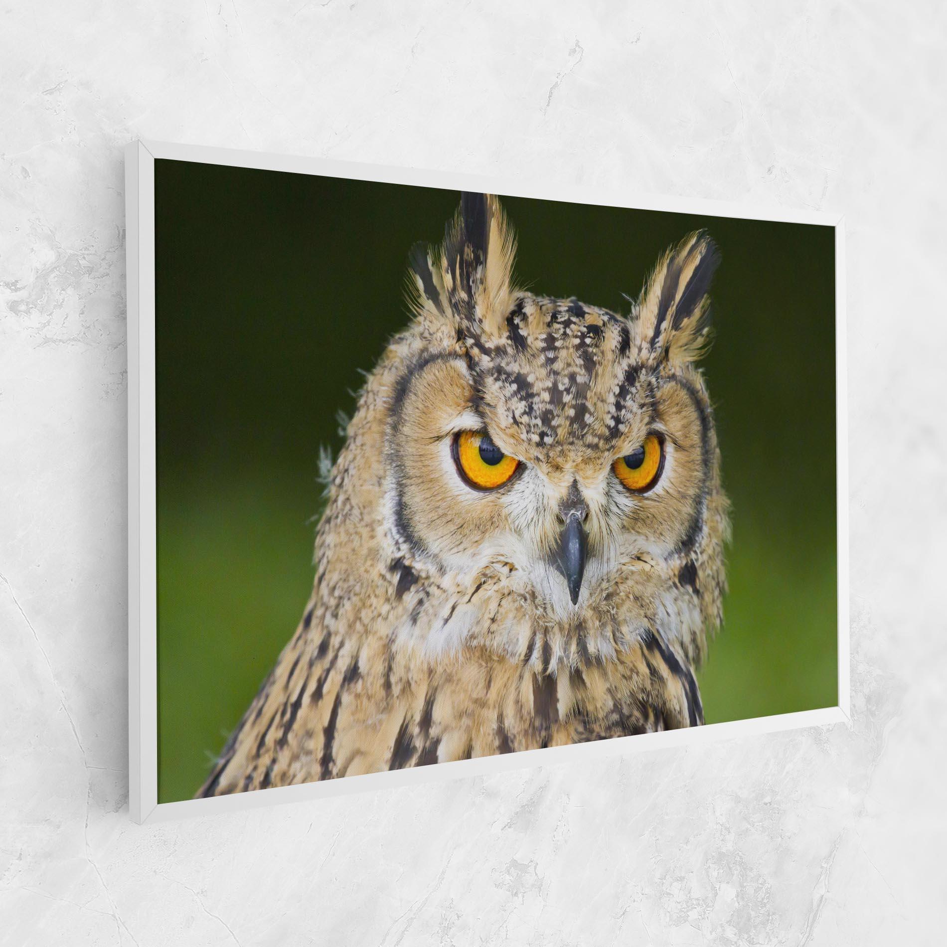 Vászonkép Angry Owl mockup 1