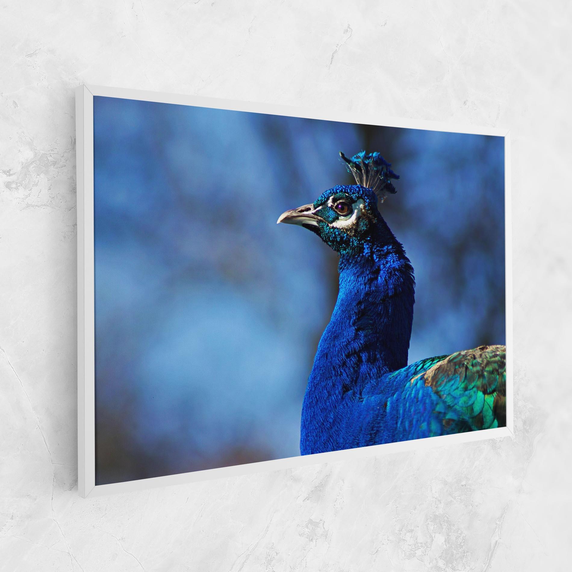 Vászonkép Blue Bird mockup 1