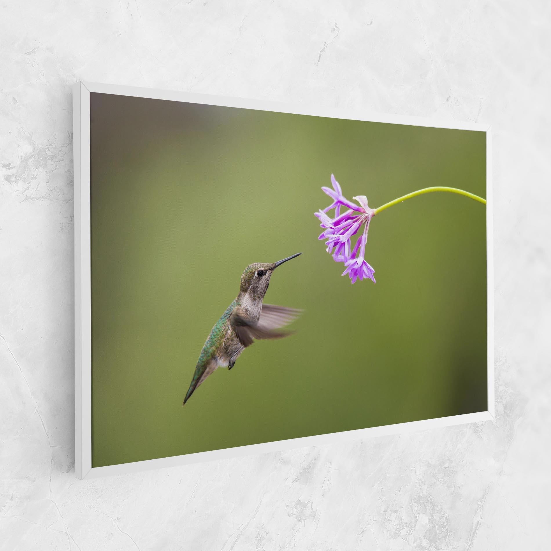Vászonkép Cute Hummingbird mockup 1