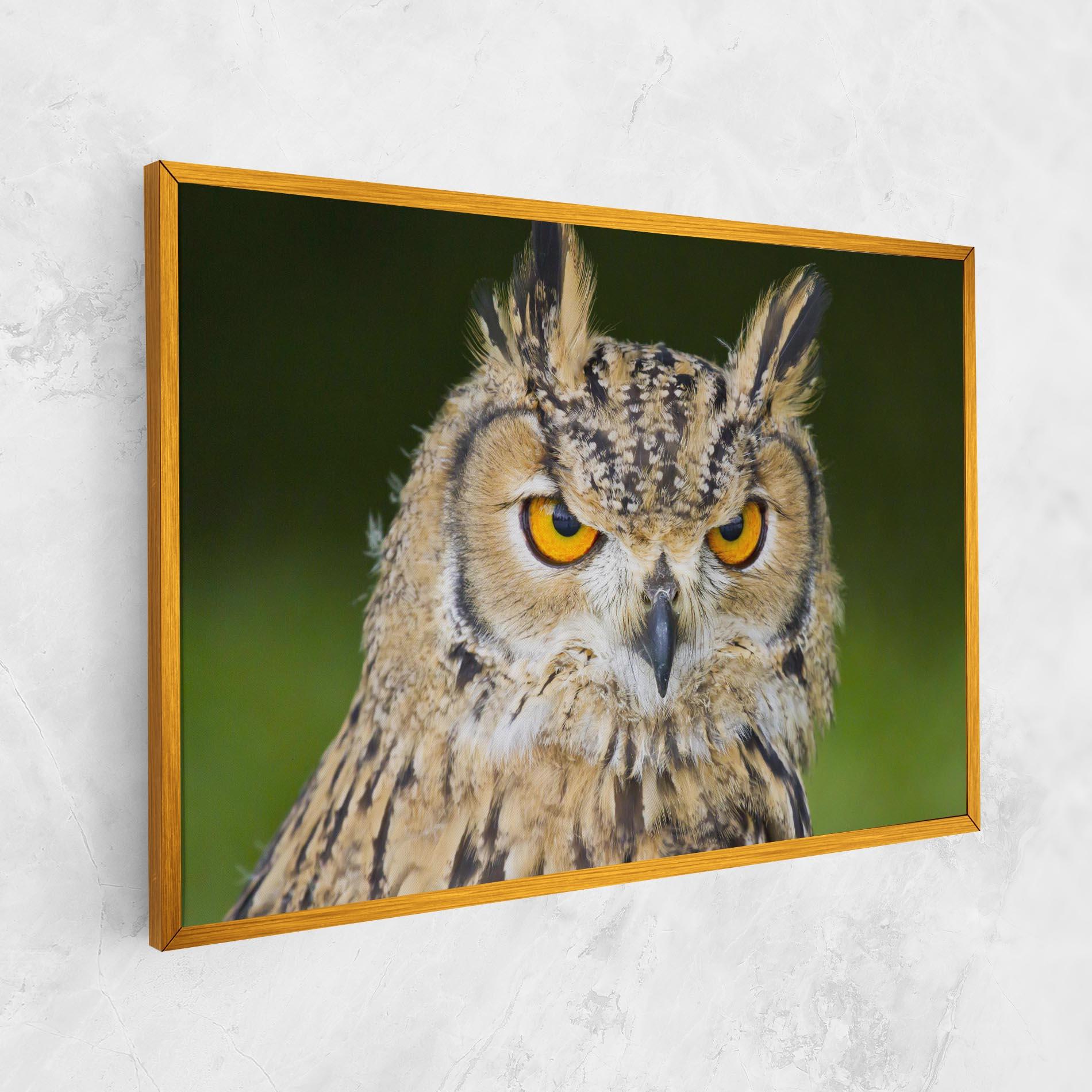 Vászonkép Angry Owl mockup 1