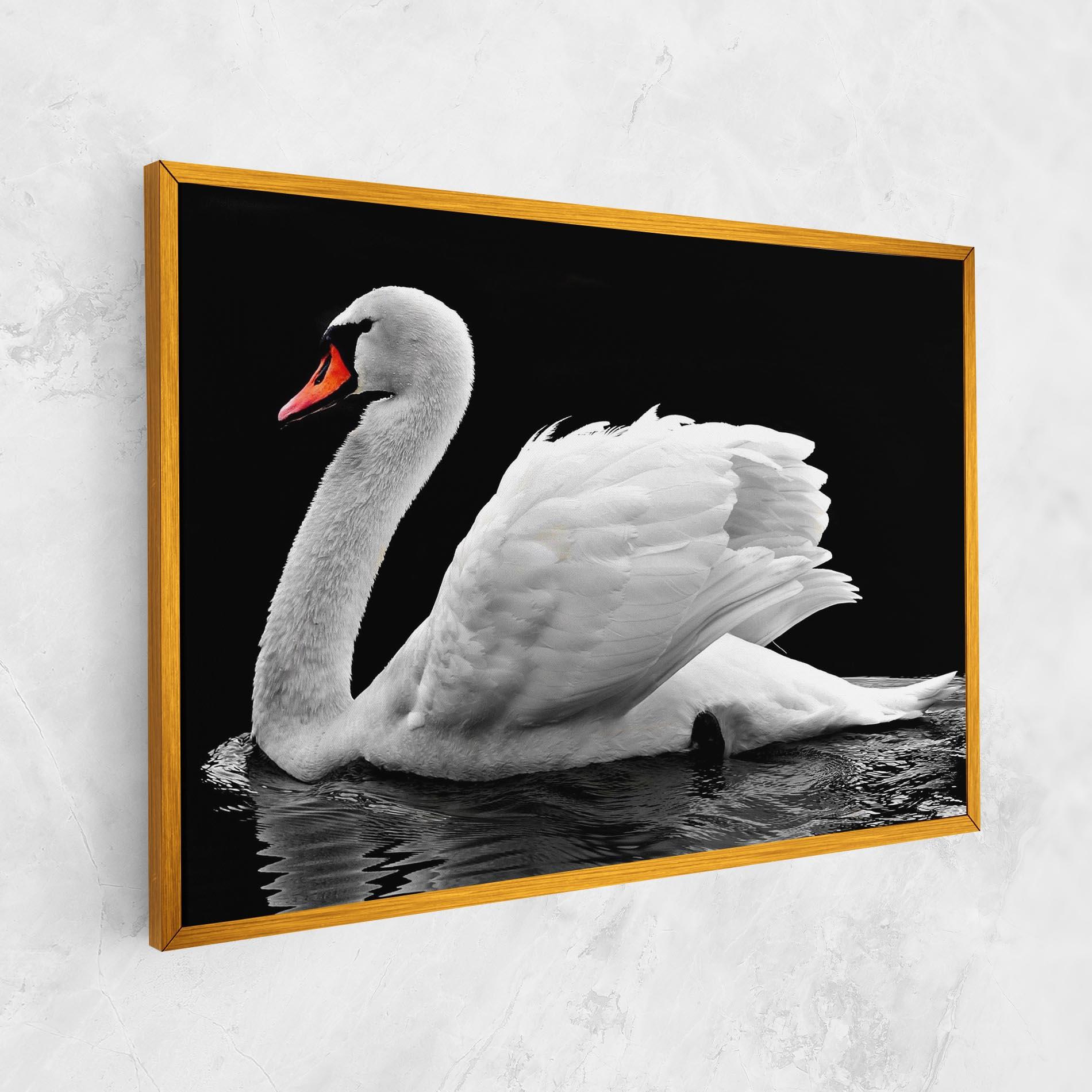 Vászonkép Black And White Swan mockup 1