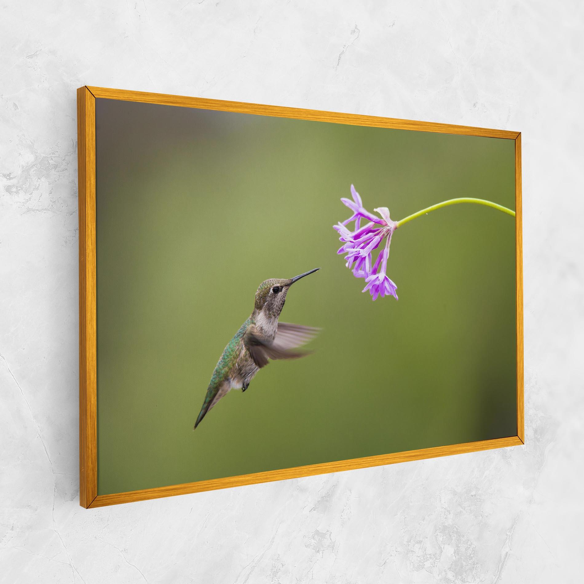 Vászonkép Cute Hummingbird mockup 1