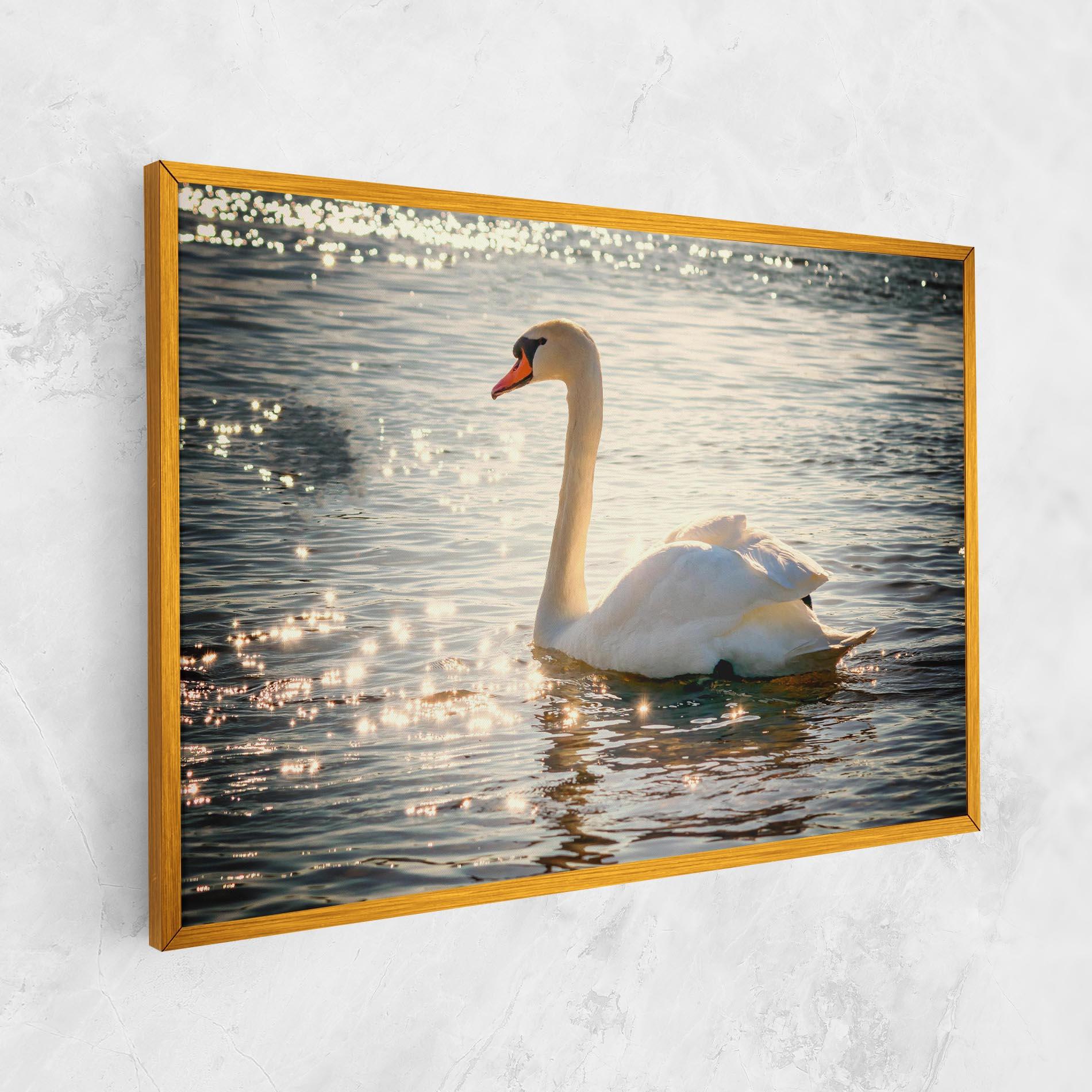 Vászonkép Swan On Lake mockup 1