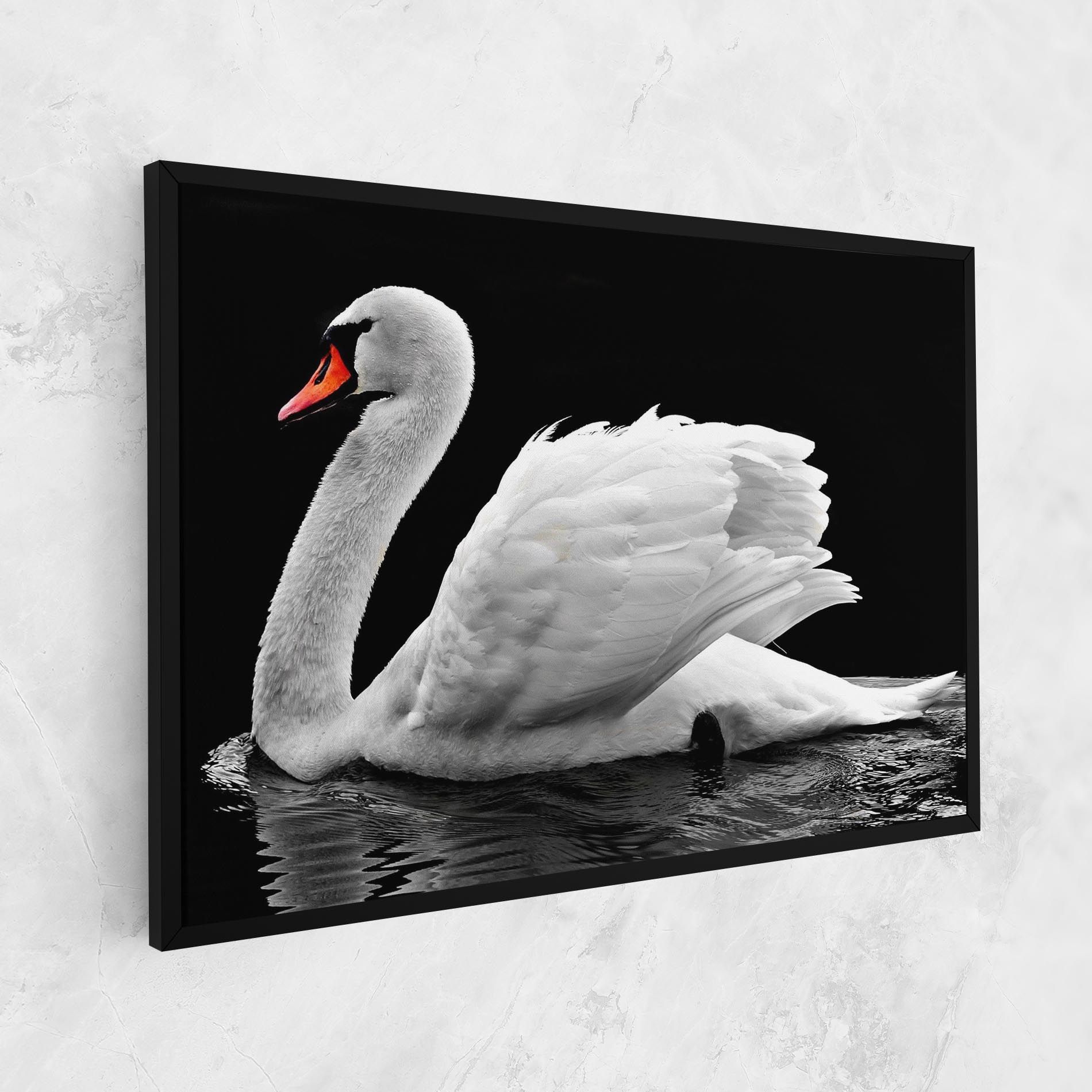 Black And White Swan mockup 1