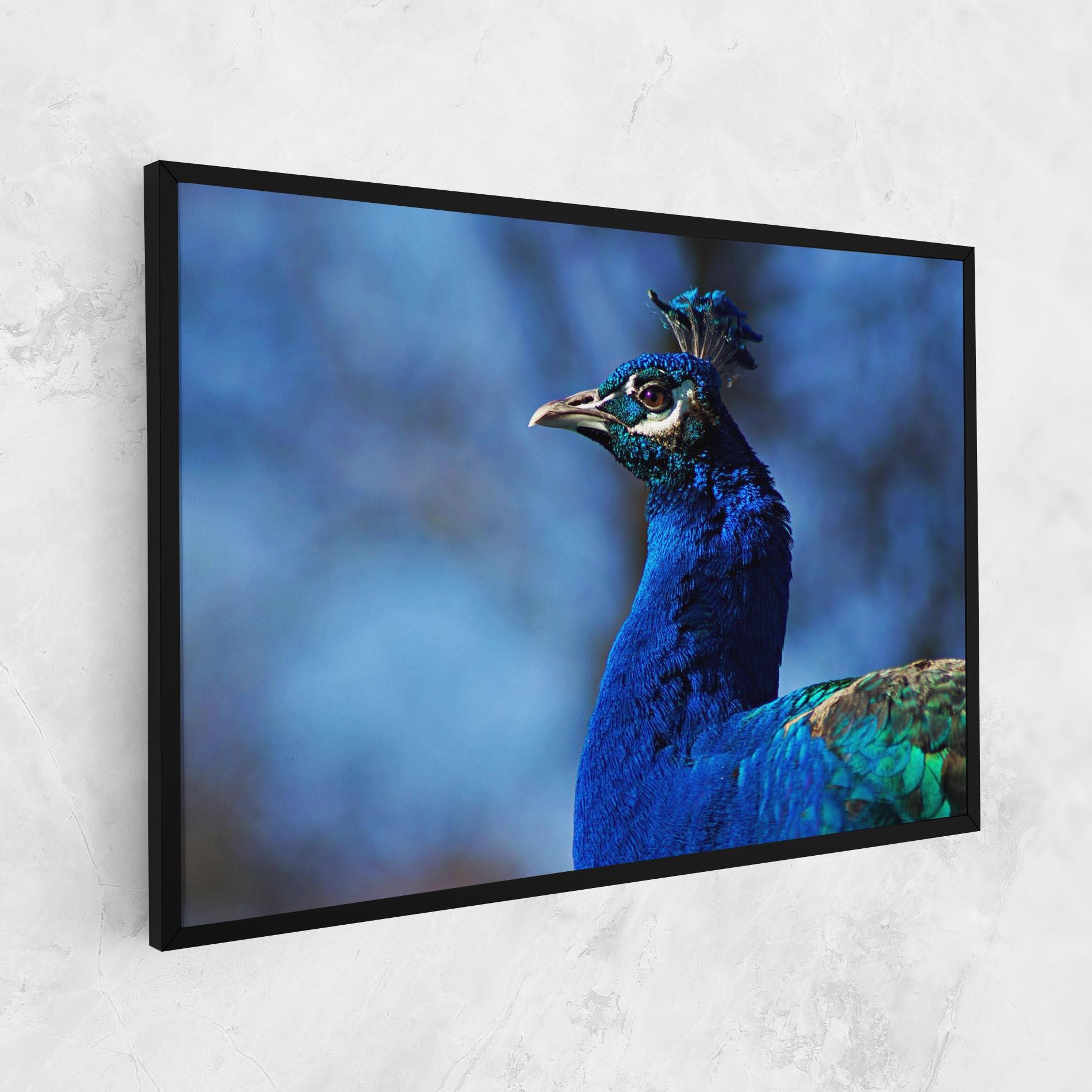 Vászonkép Blue Bird mockup 1
