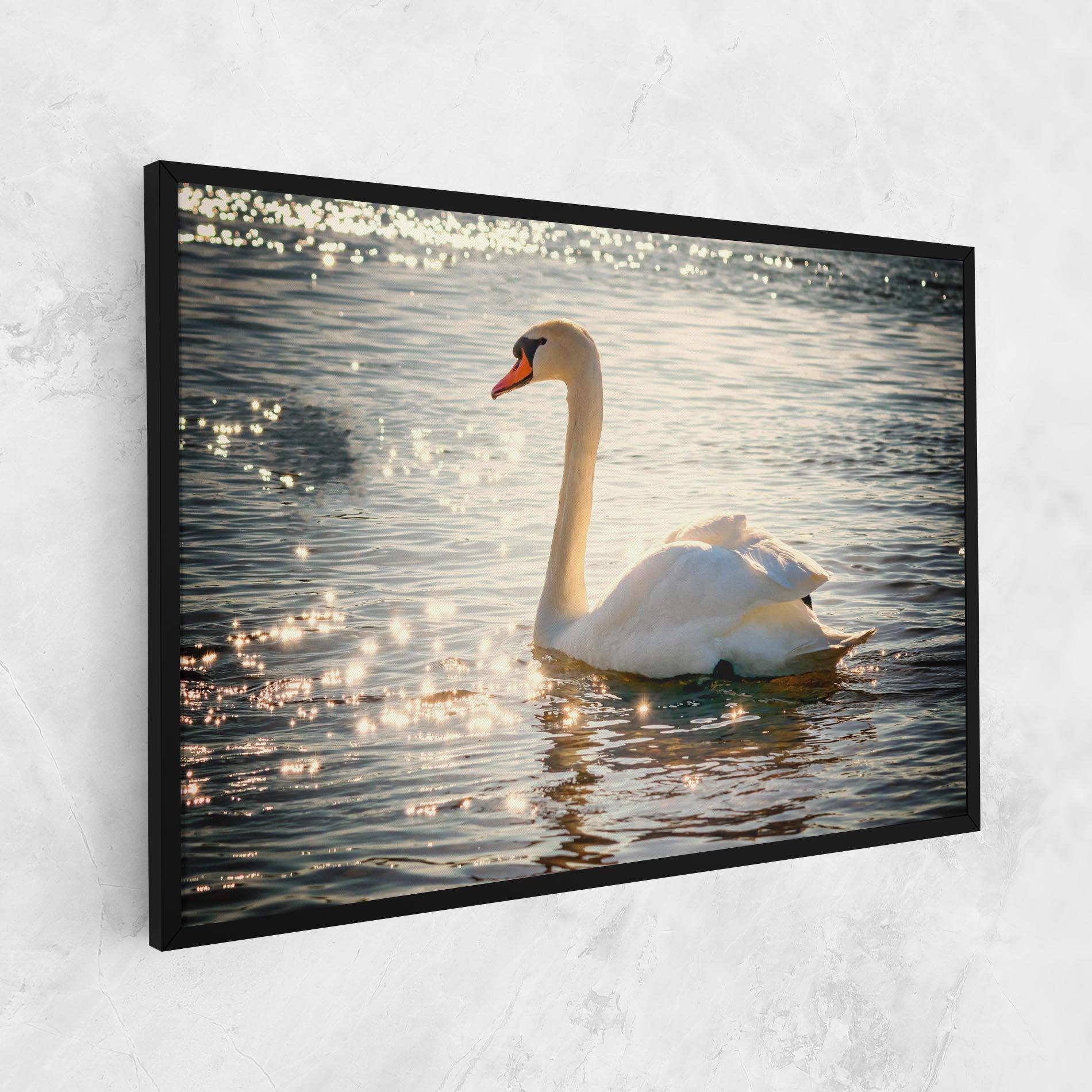 Vászonkép Swan On Lake mockup 1