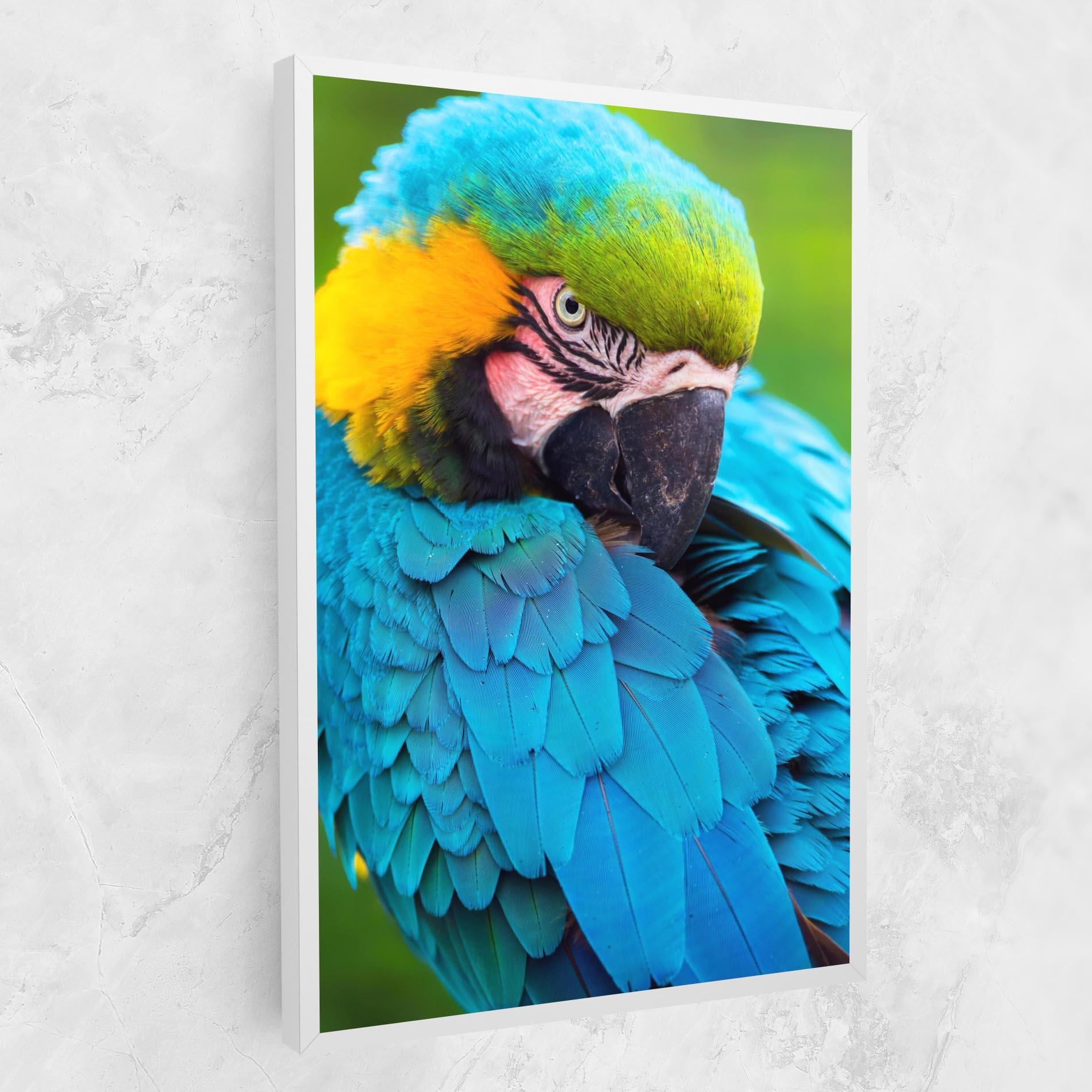 Vászonkép Blue Parrot mockup 1