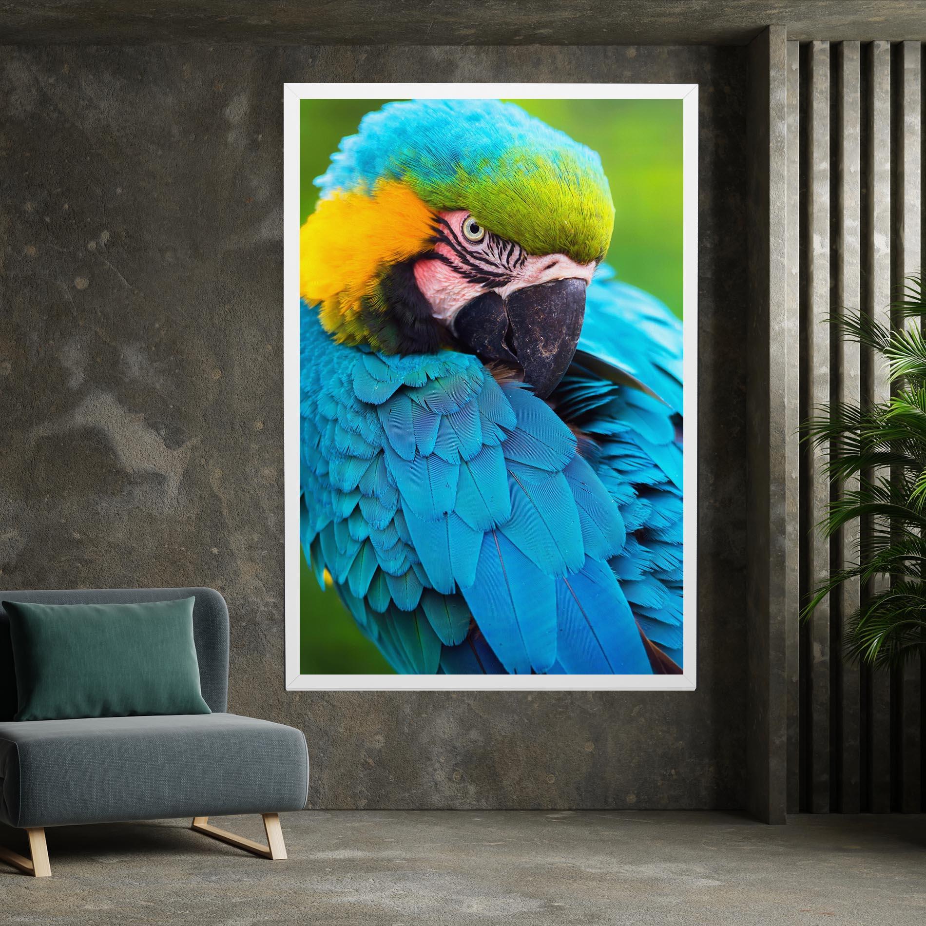 Vászonkép Blue Parrot mockup 7