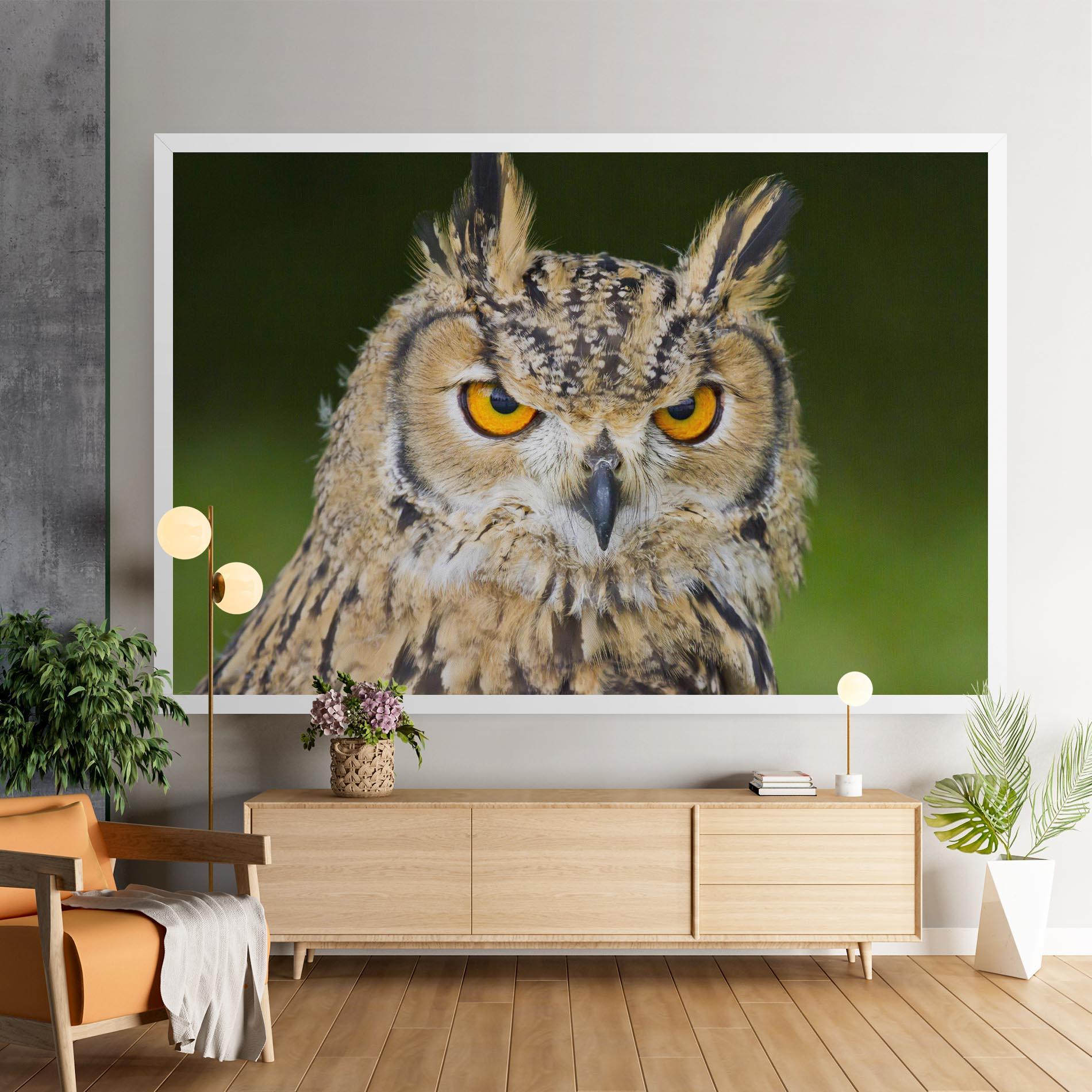 Vászonkép Angry Owl mockup 9
