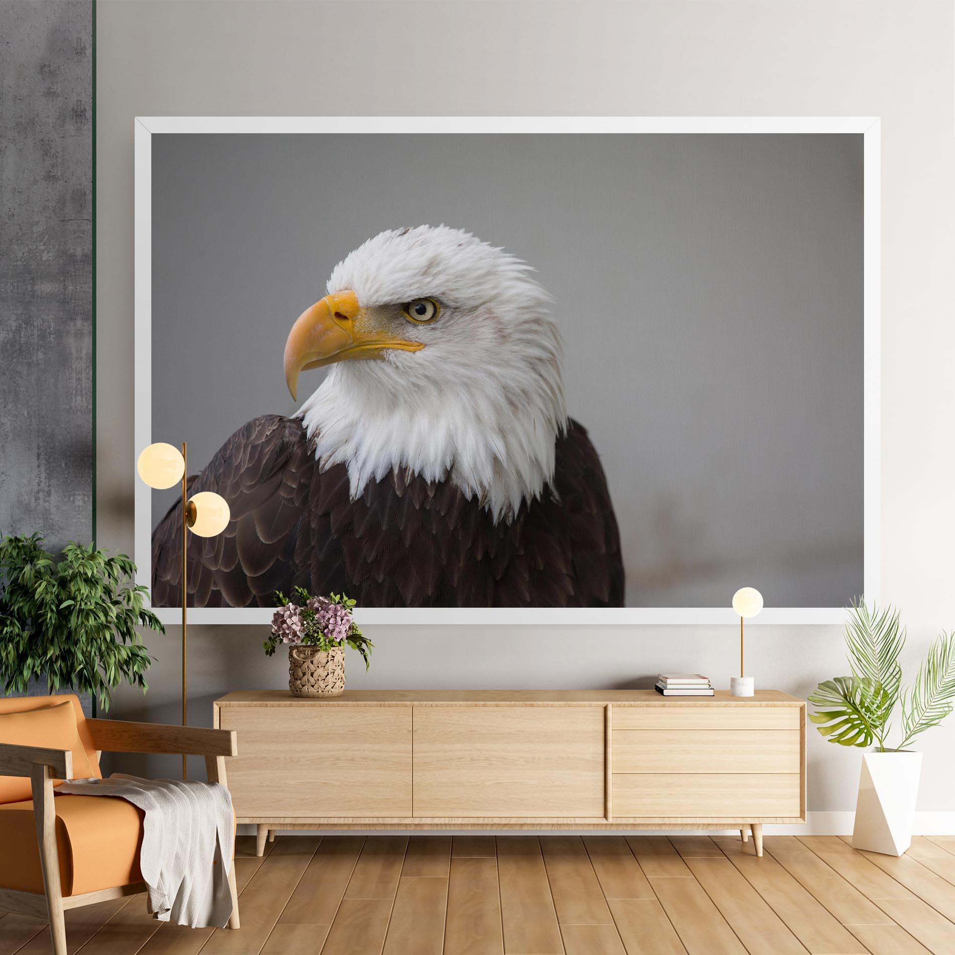 Vászonkép Beautiful Eagle mockup 9