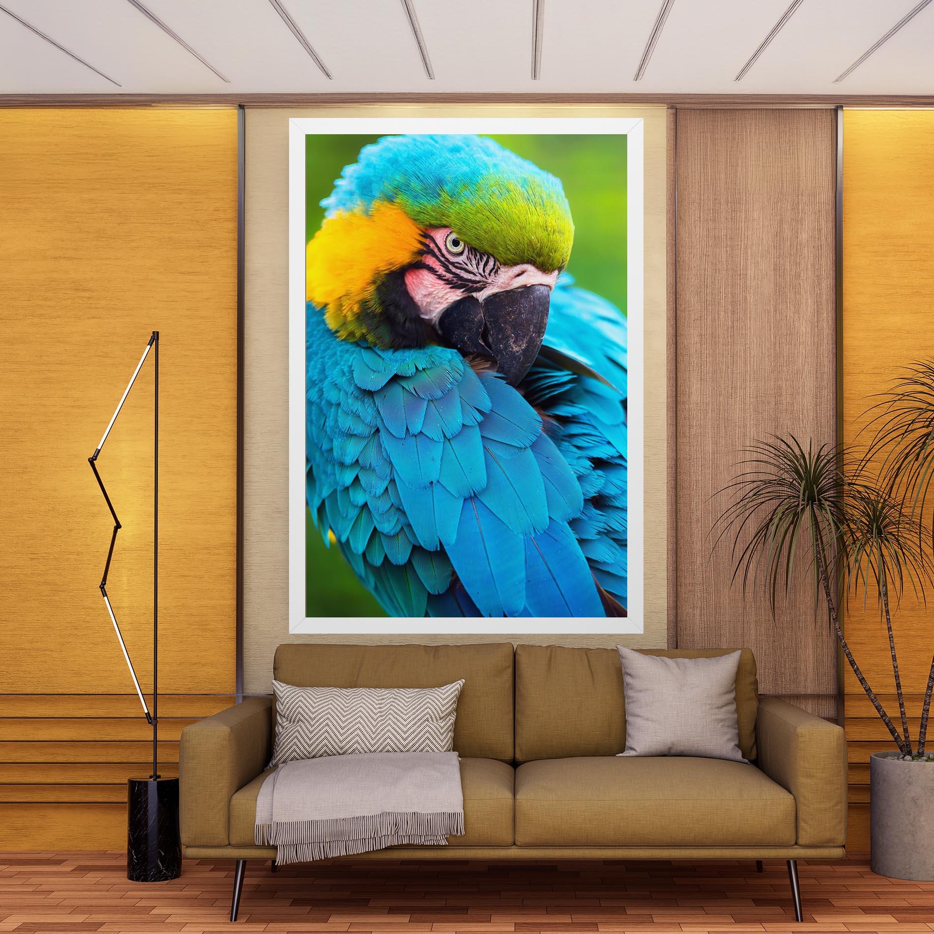 Vászonkép Blue Parrot mockup 9