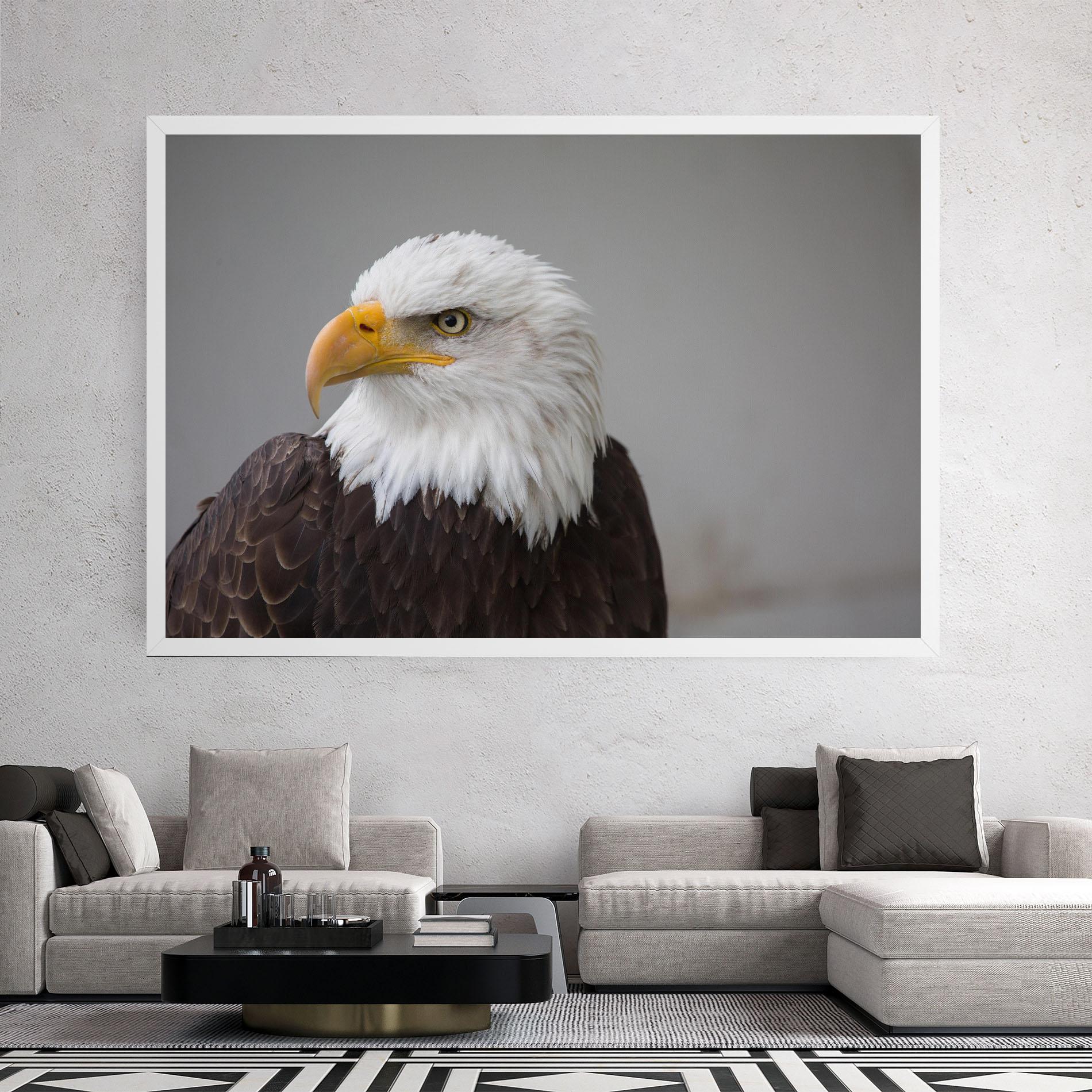 Vászonkép Beautiful Eagle mockup 2