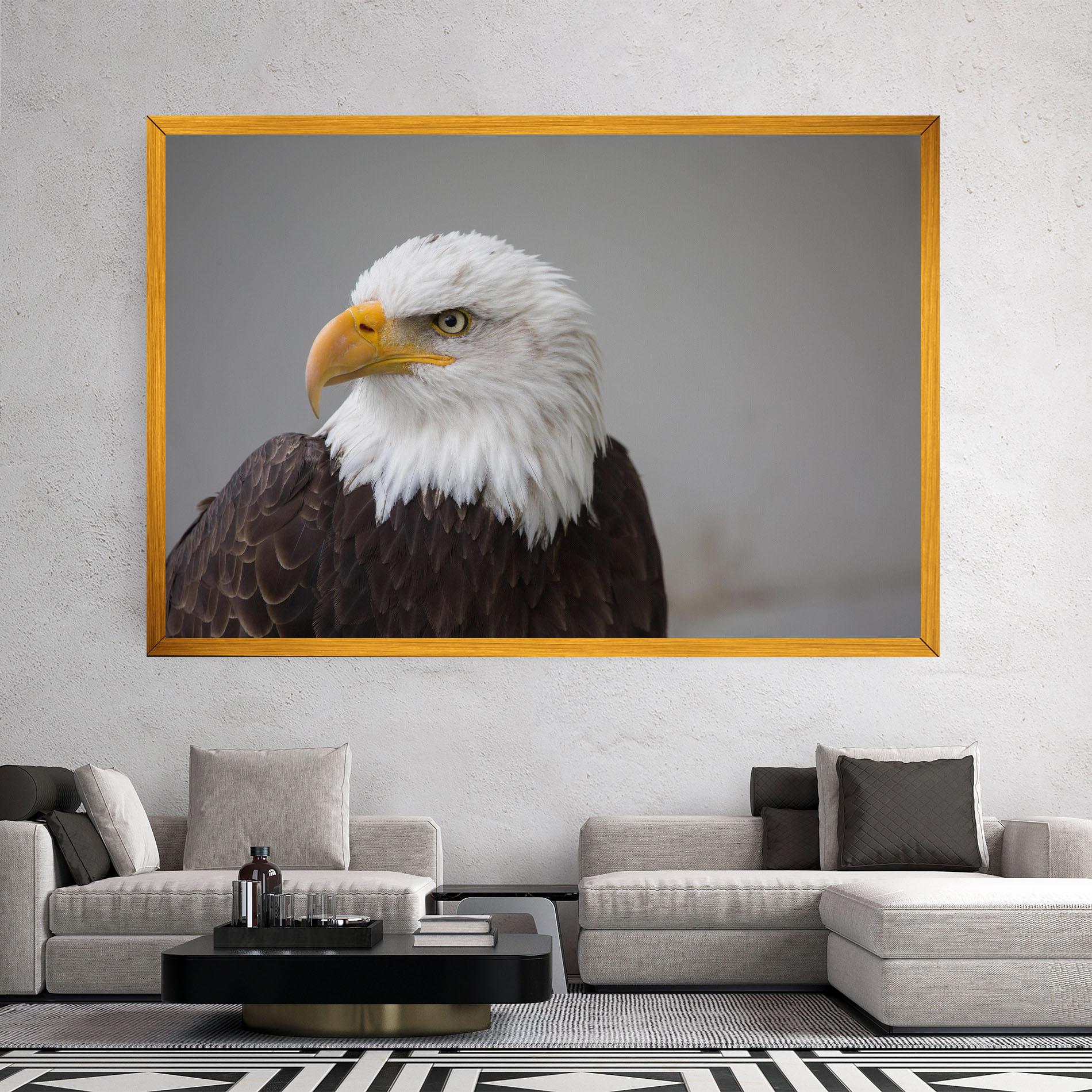Vászonkép Beautiful Eagle mockup 2