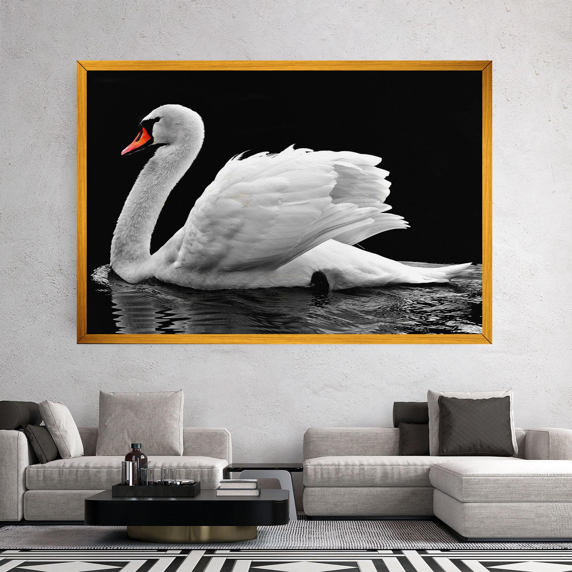 Vászonkép Black And White Swan mockup 2