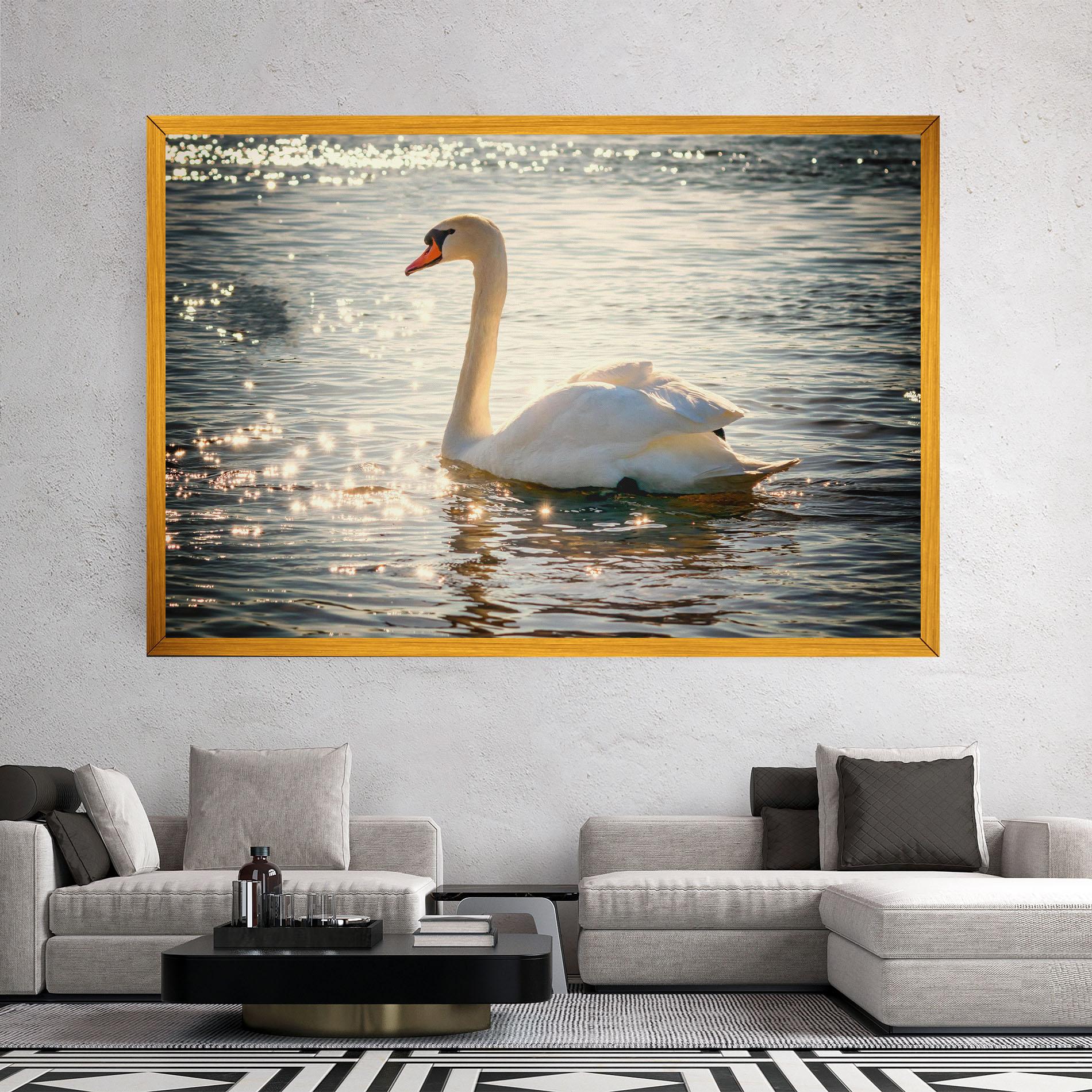 Vászonkép Swan On Lake mockup 2