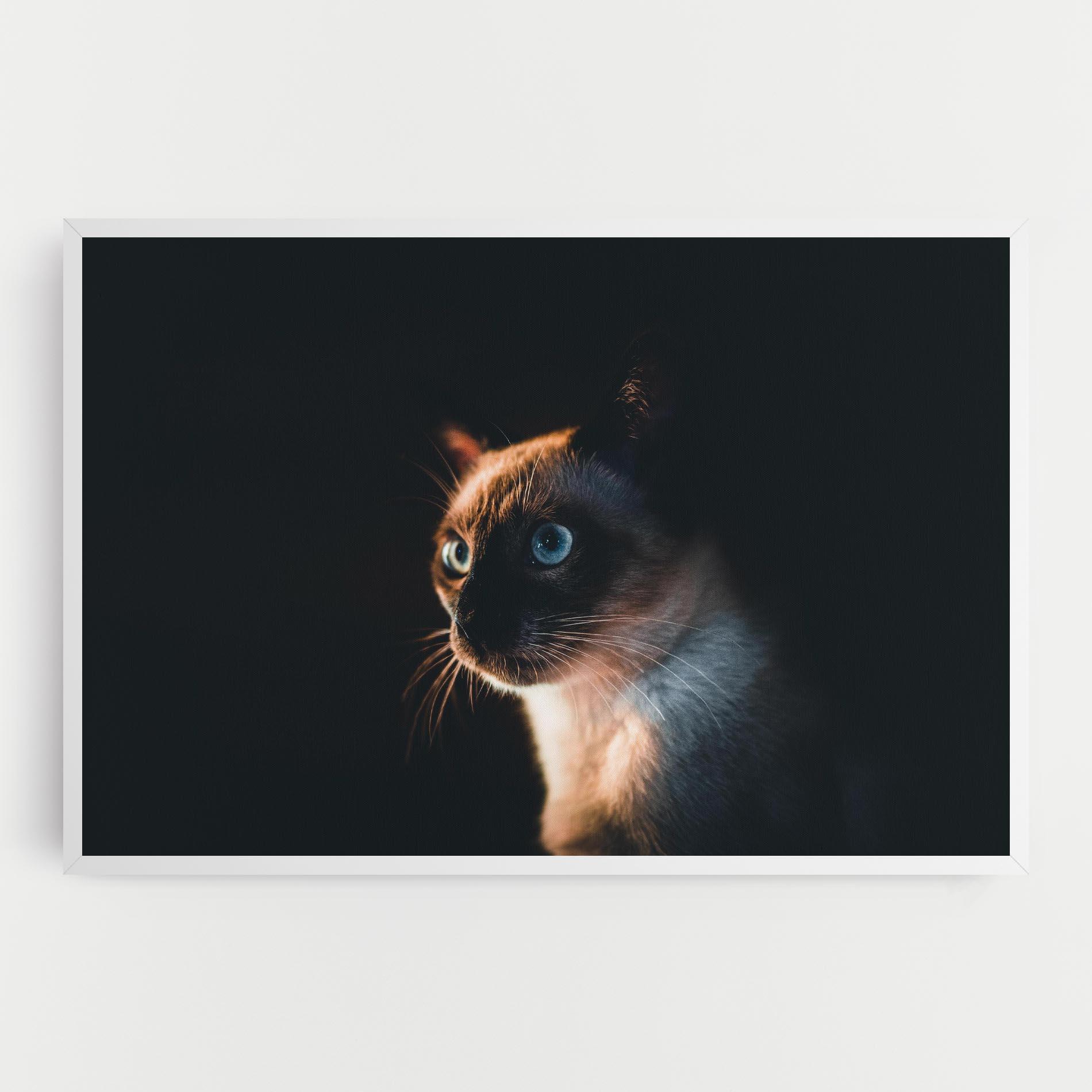Vászonkép Blue Eyes Cat In Dark mockup 0